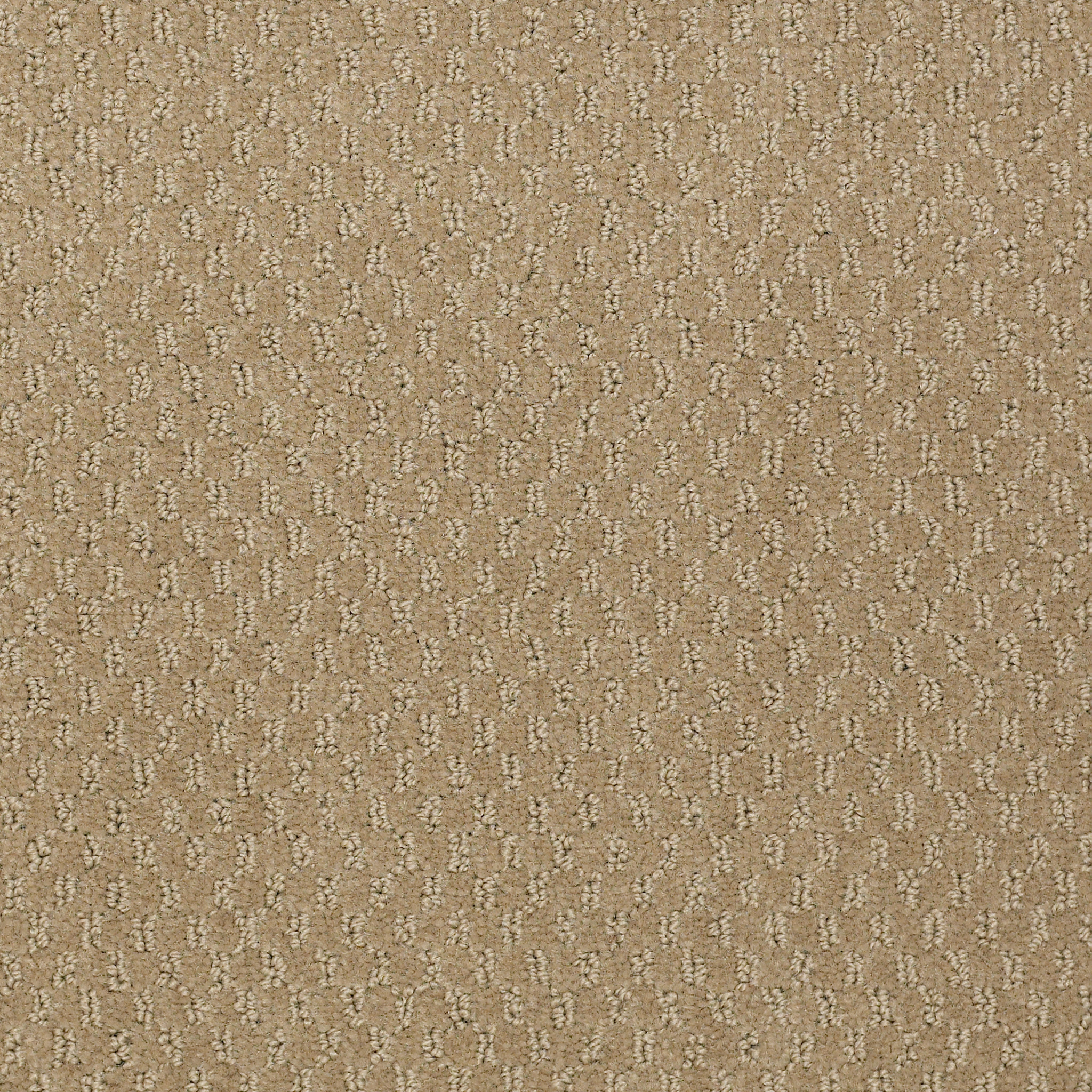 LATEST-TREND-54098-ALPACA-98700-main-image