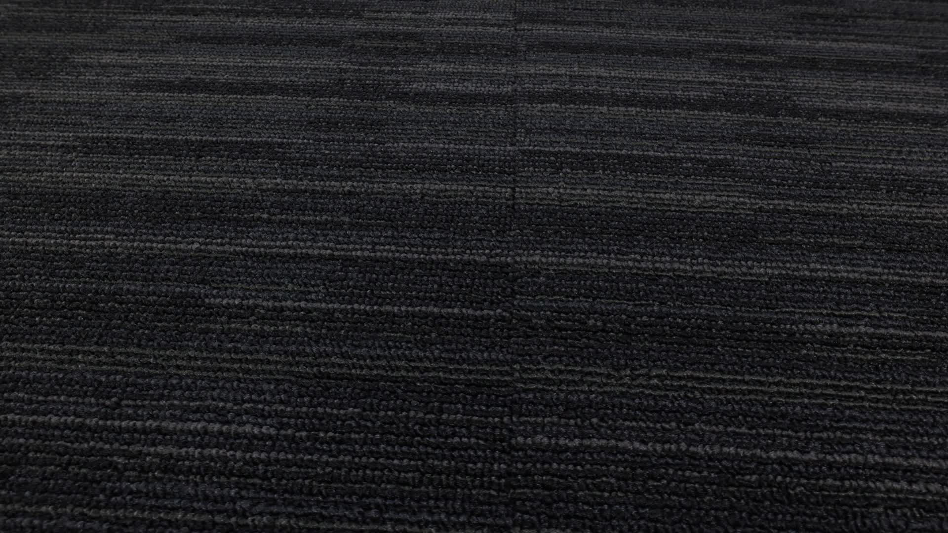 Primary Tile Raven Rotation360