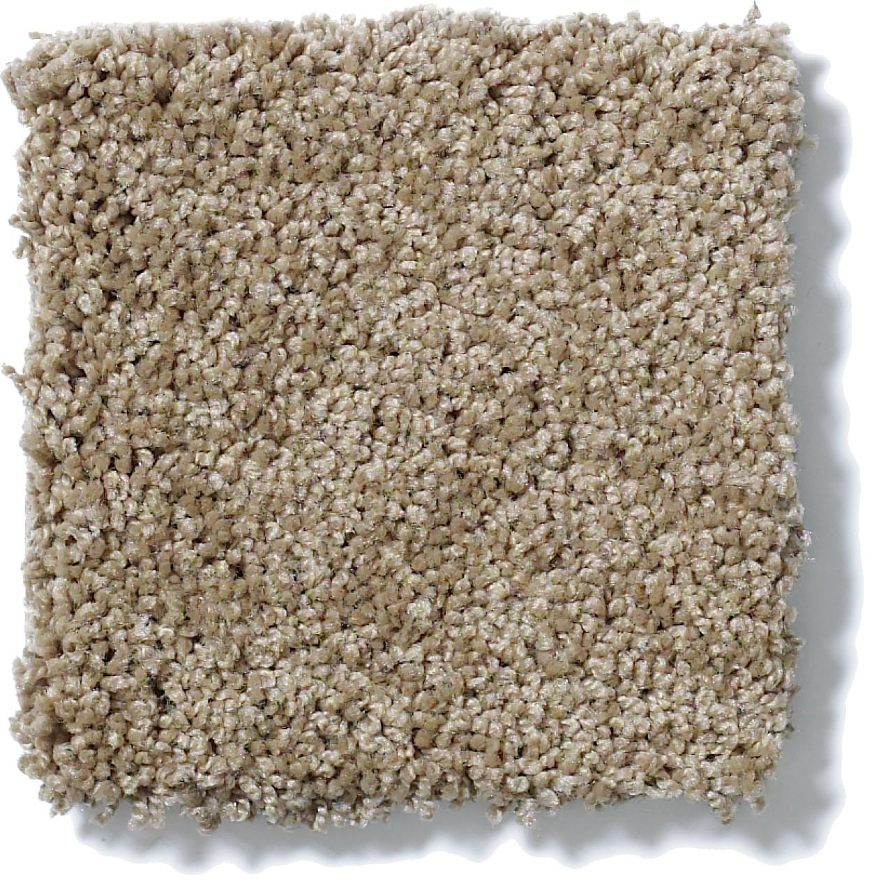 AG TIMELESS TUMBLEWEED SWATCH