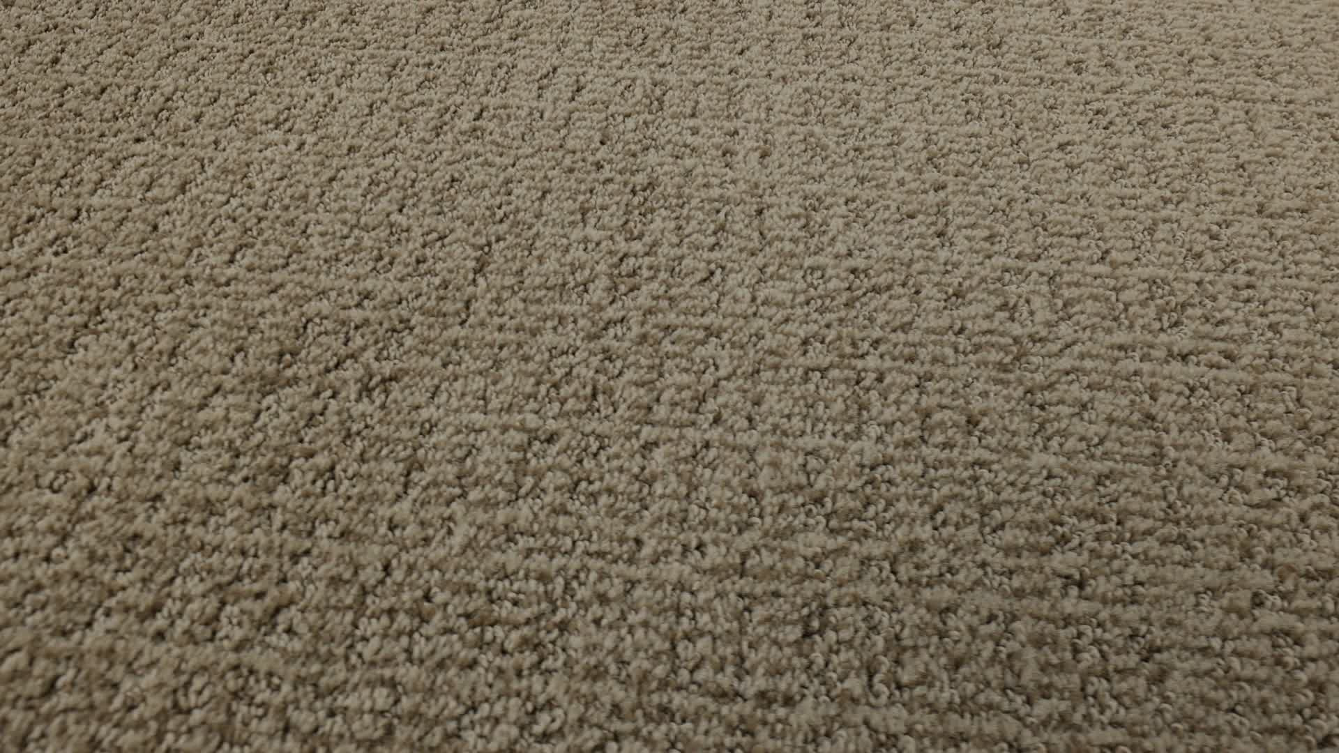 SENSIBLE NOW SUMMERVILLE 360PROD