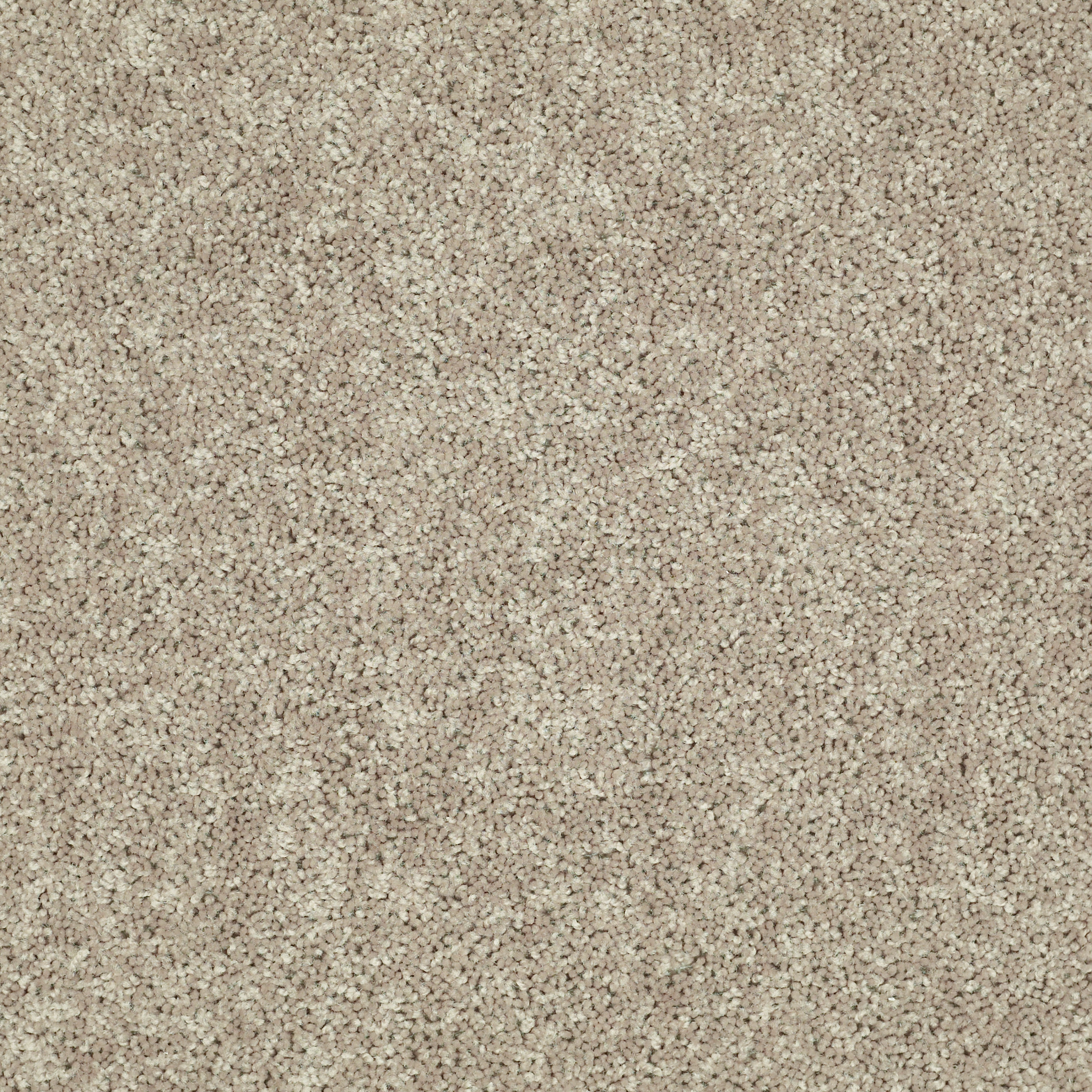 TACTICAL WARM TEA MAIN