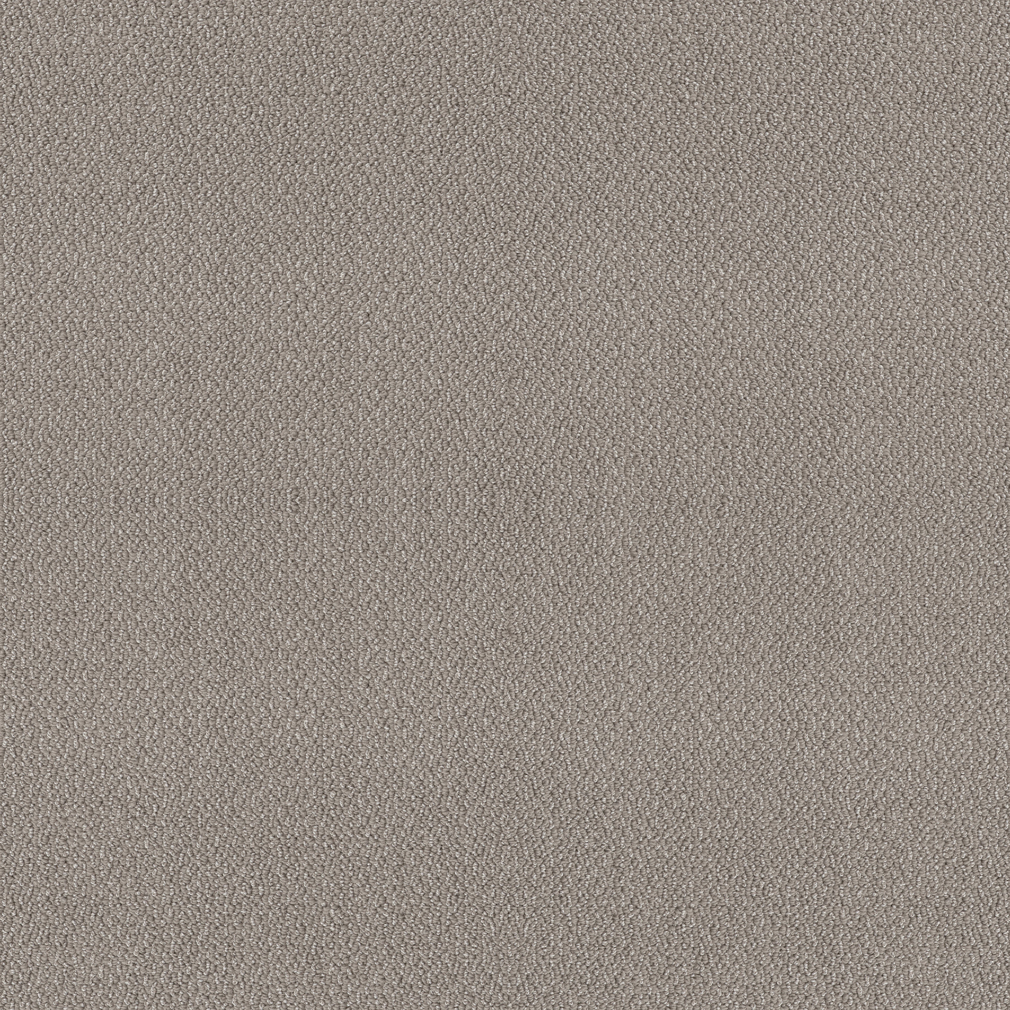 EMBELLISHED ASTEROID MAIN