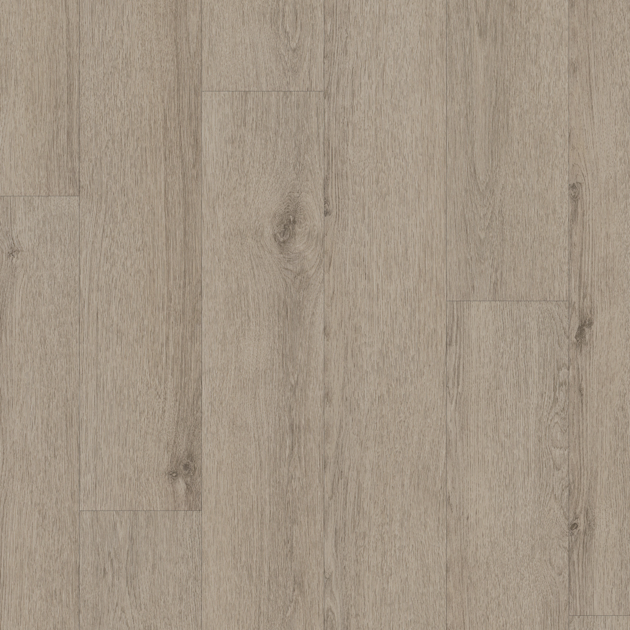 NATURAL BEGINNINGS SPC MUSHROOM GREY MAIN