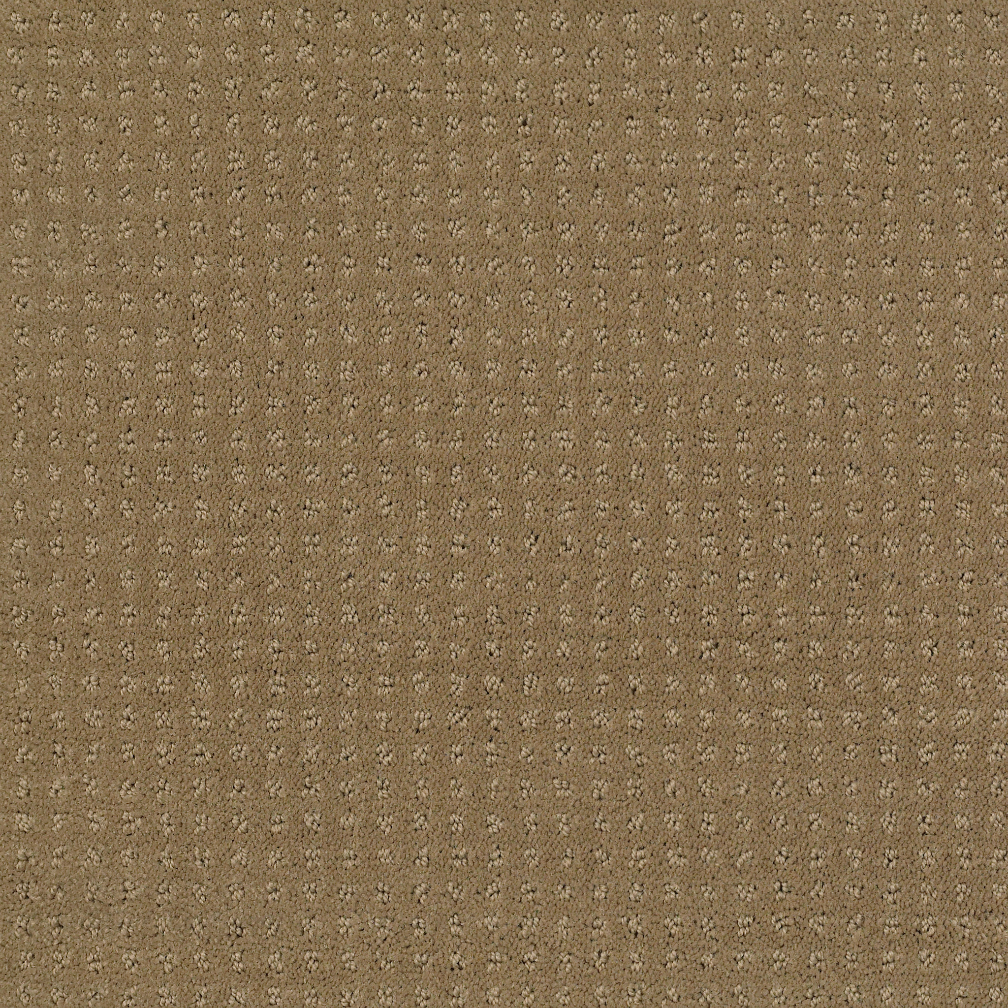 MY DESTINATION PATTERN CAPPUCCINO MAIN