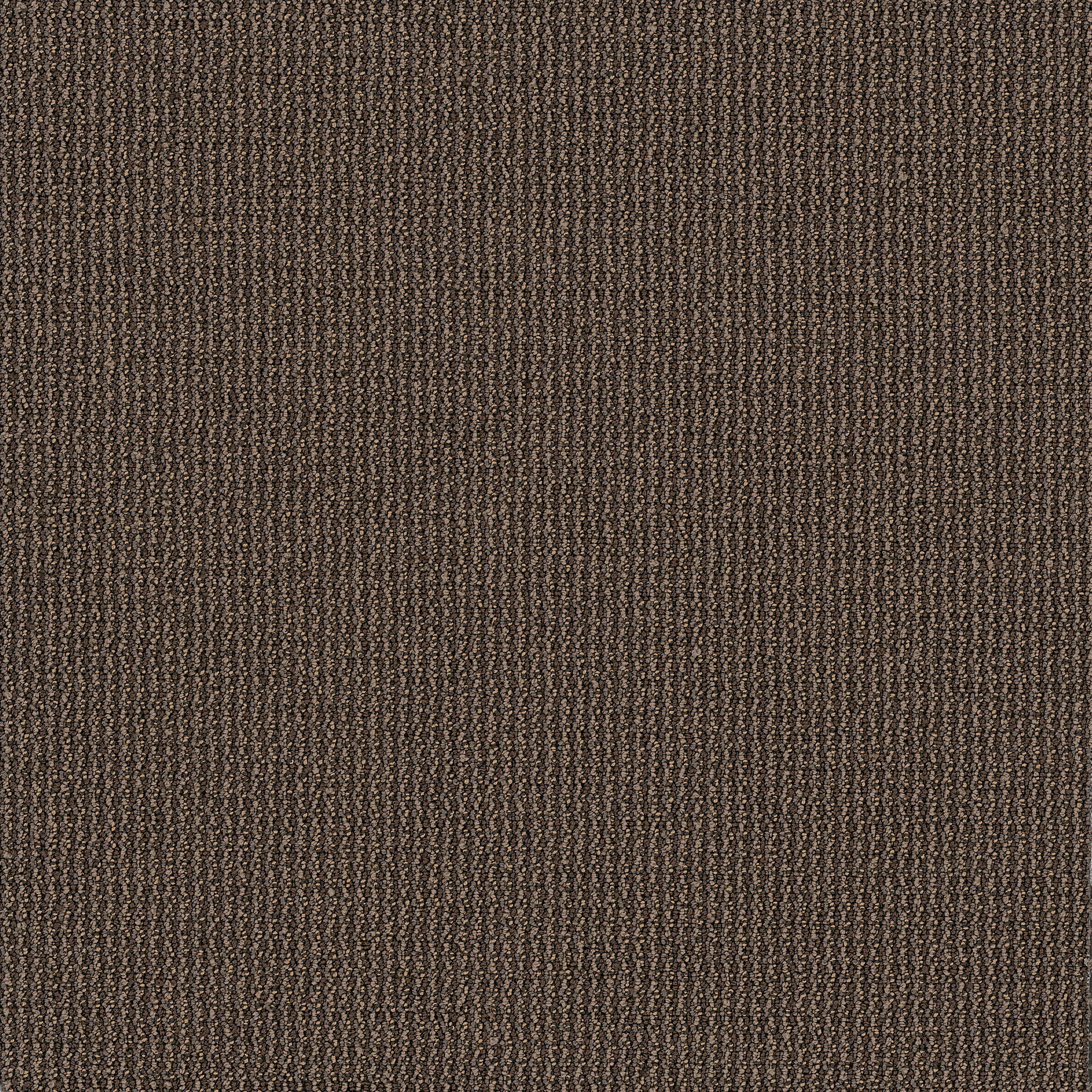 DATELINE-TODAY-54823-ANCHORS-00760-main-image