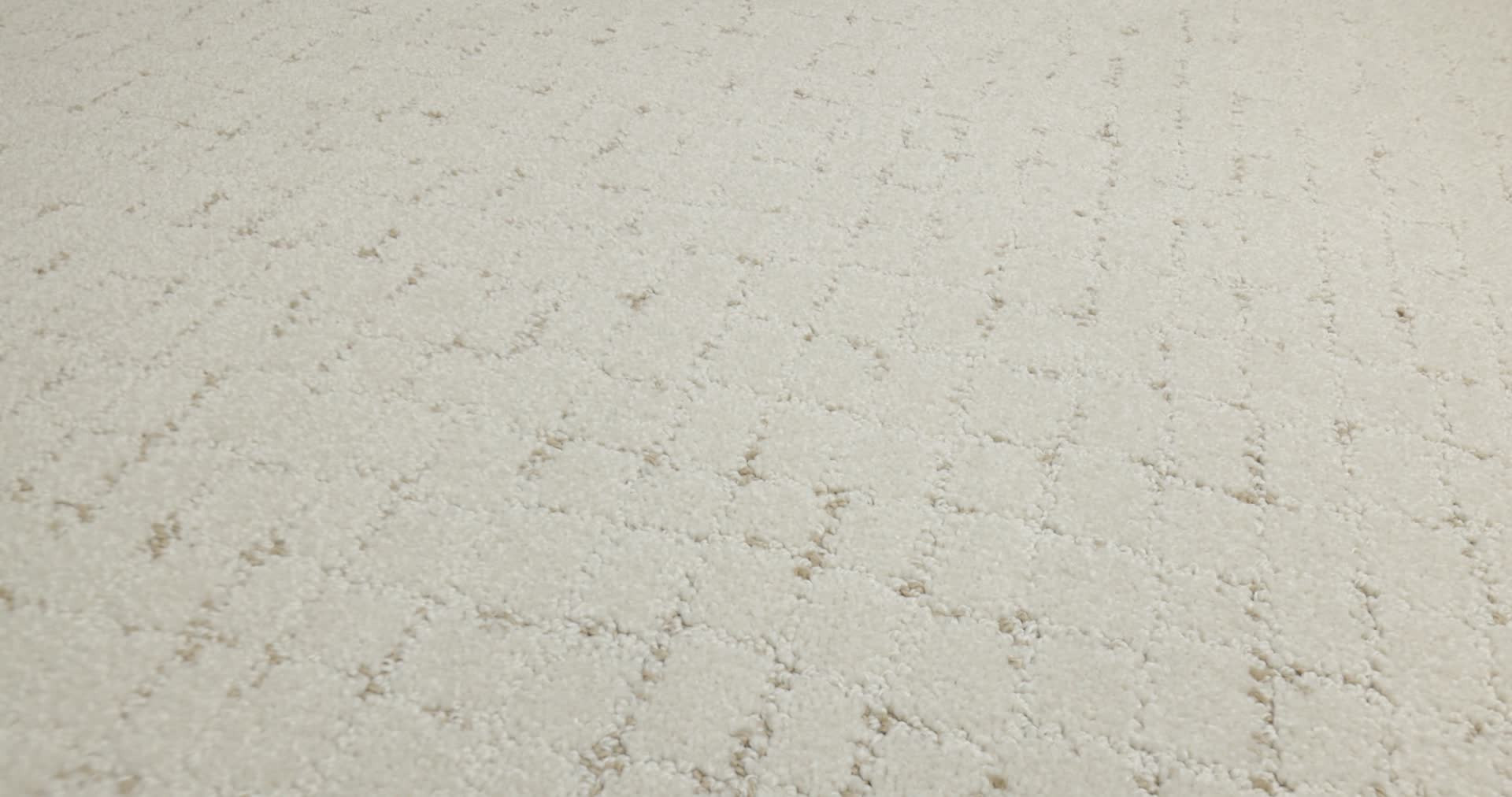 BLOCK PARTY NATURAL 360PROD