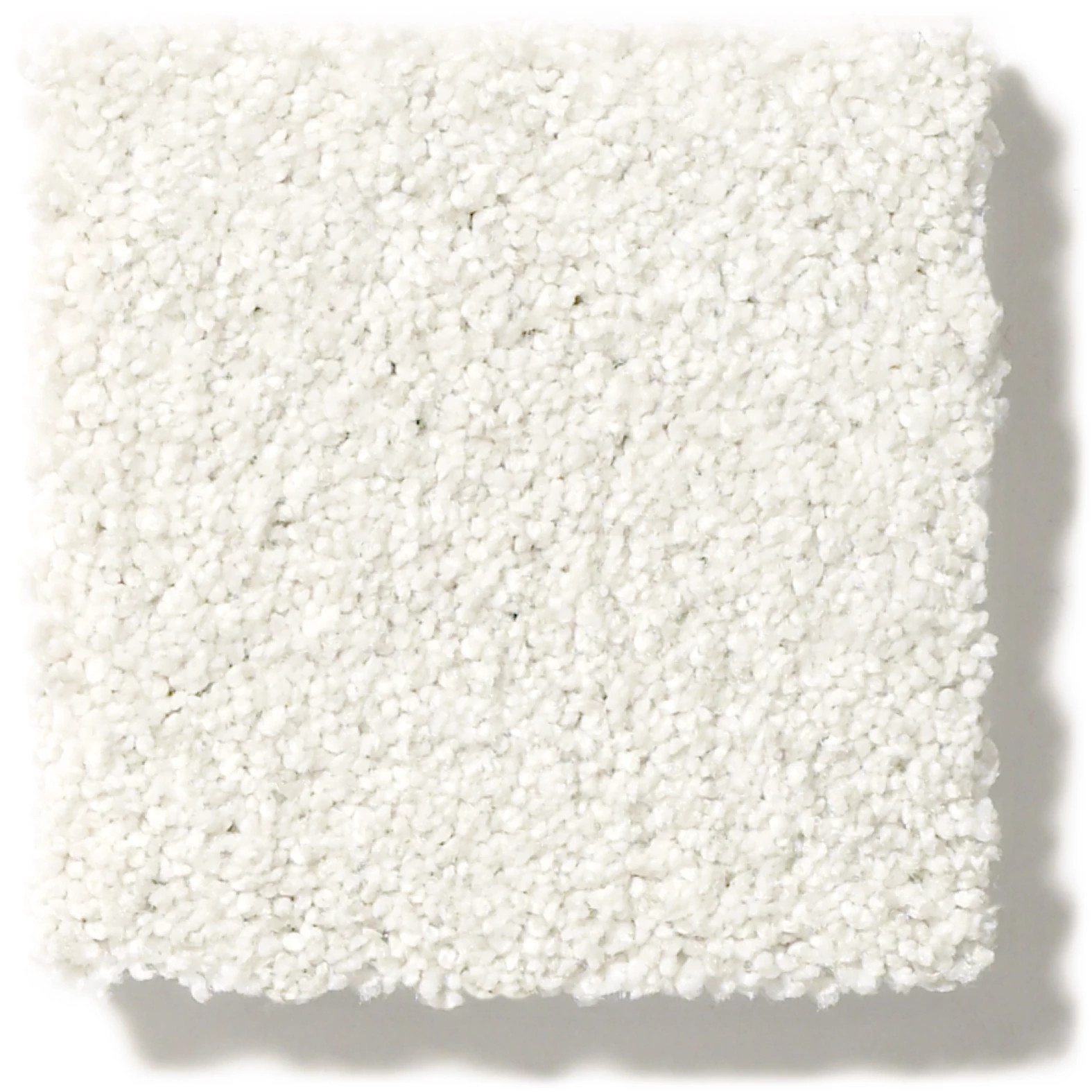 TONAL COMFORT BLUE GALLERY OPENING SWATCH