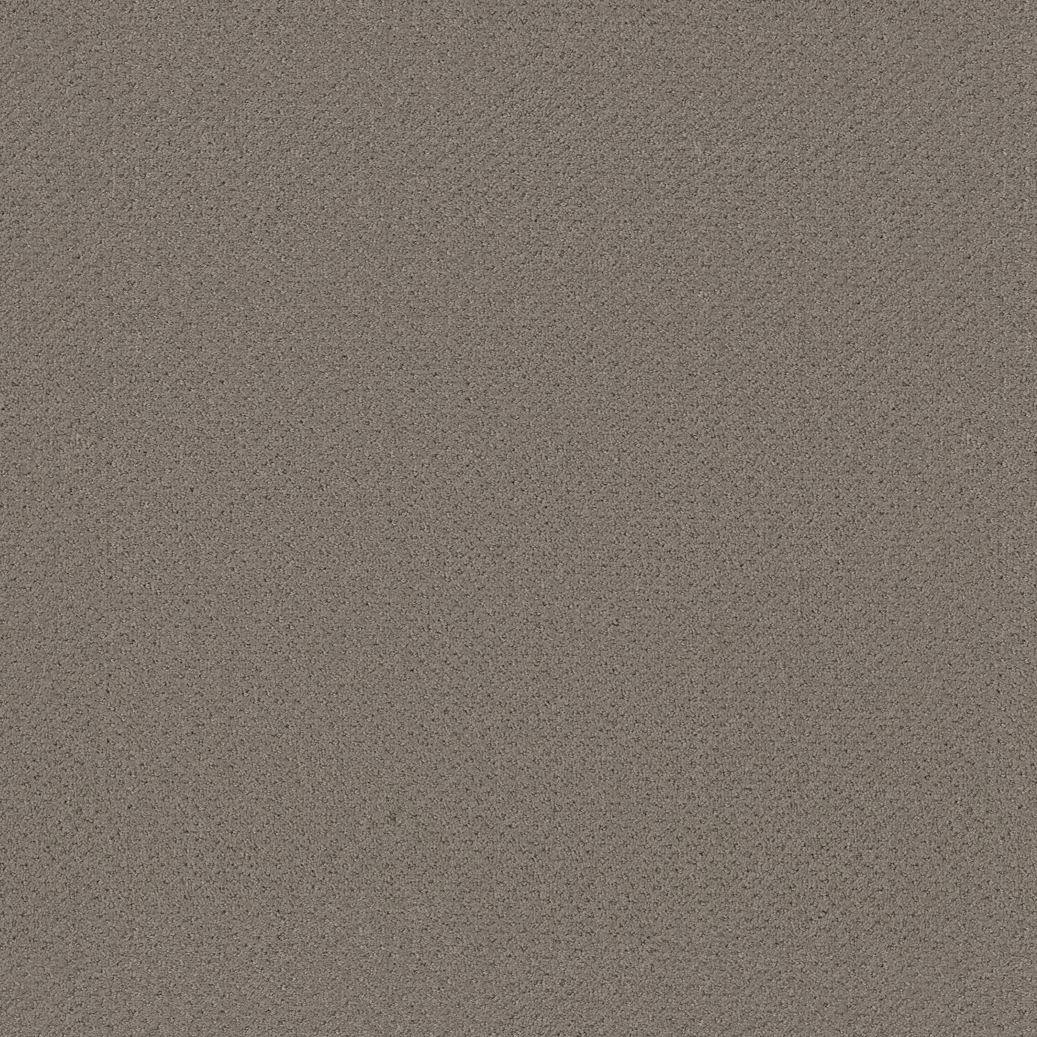 GENESIS GRAY FLANNEL MAIN