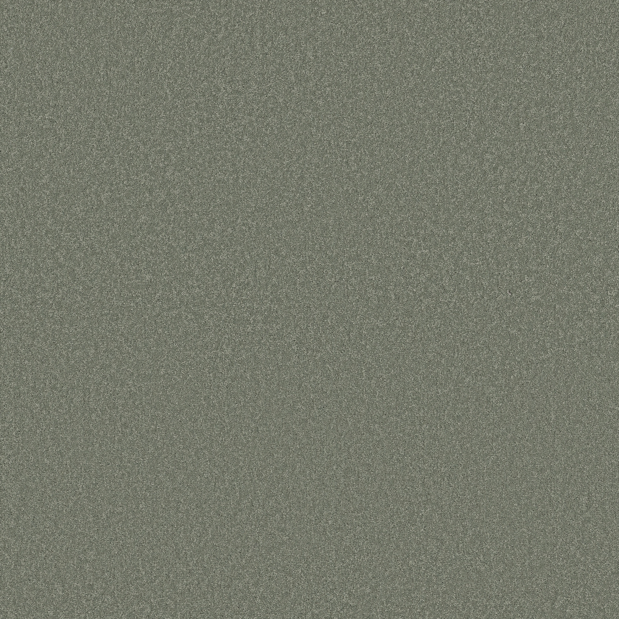 SANDY HOLLOW CLASSIC I 12' TROPICAL SURF MAIN