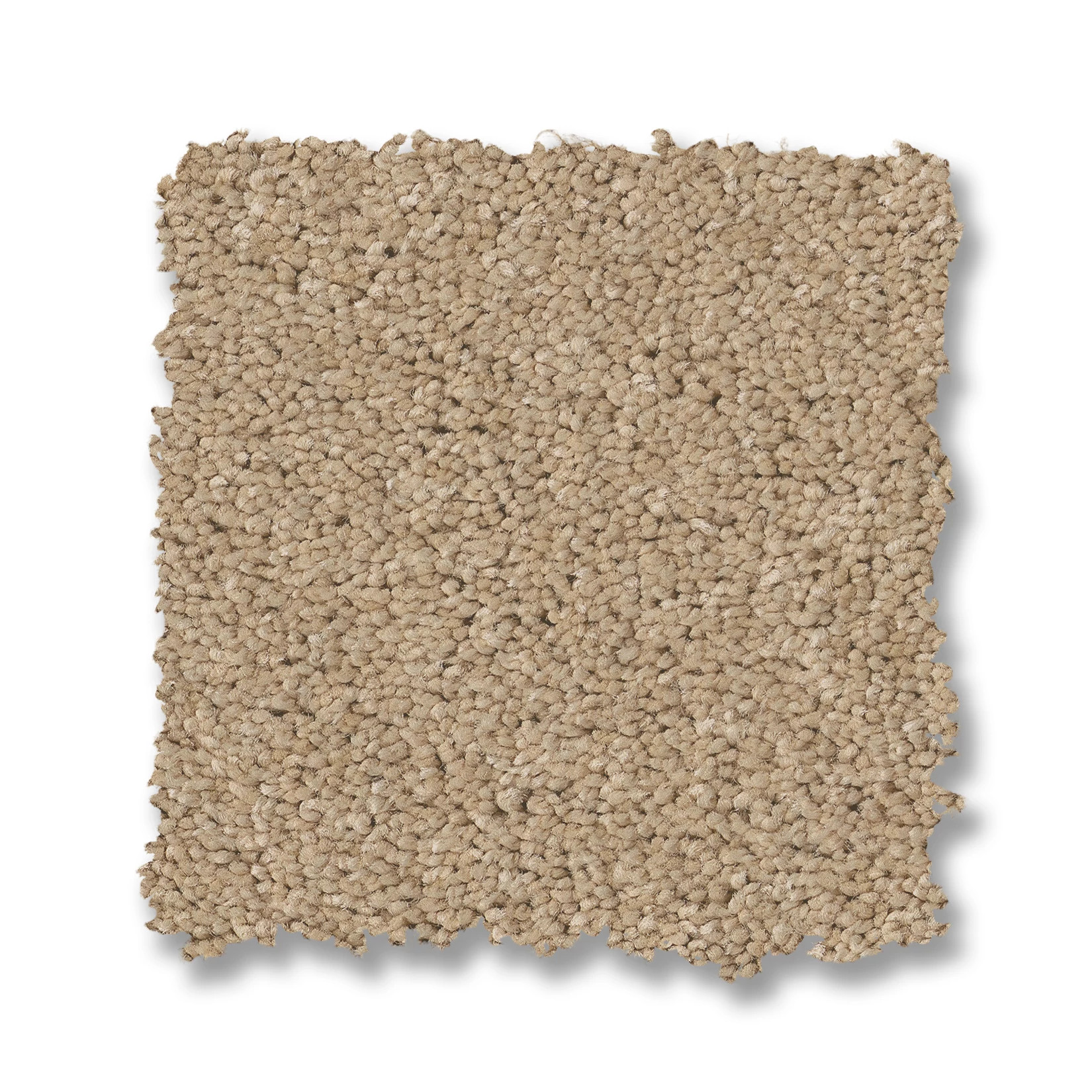 ENCHANTING TRANSPARENT SWATCH