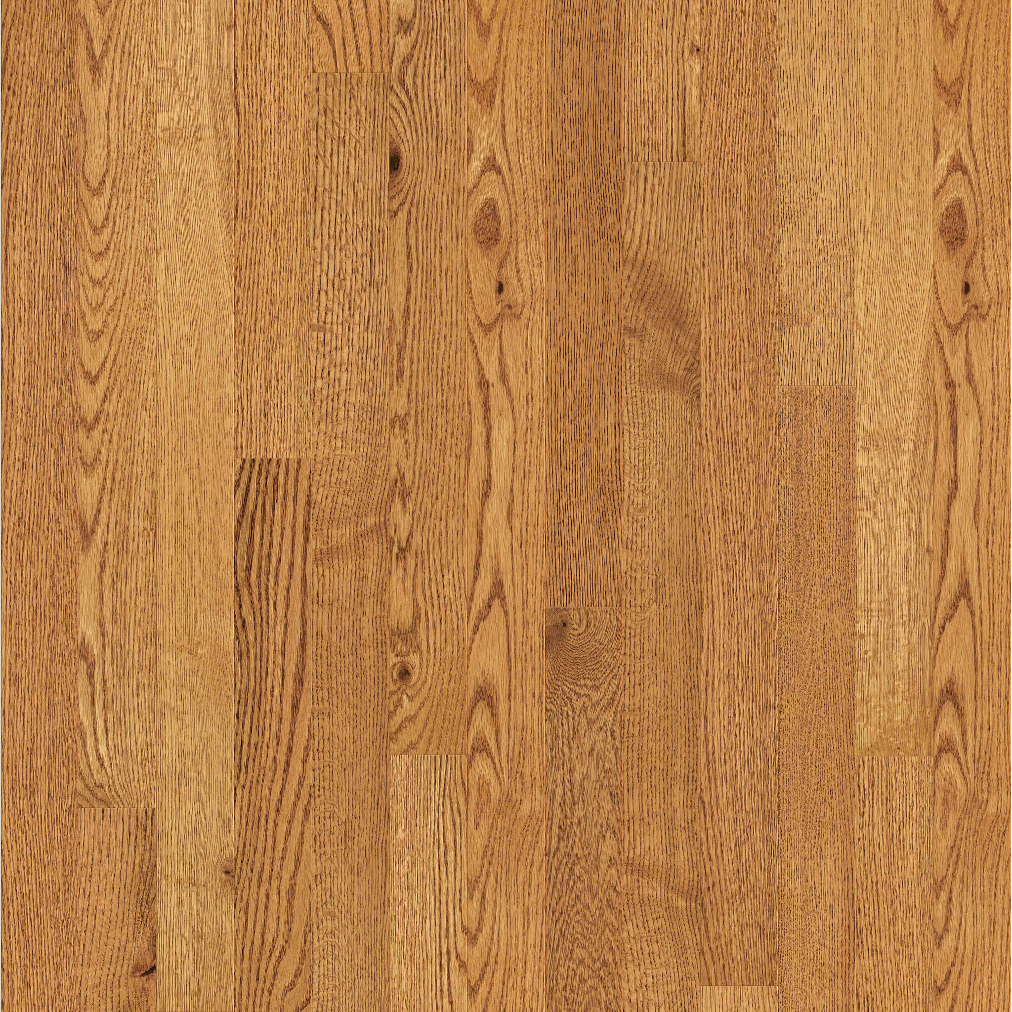 LINEAGE OAK 3" HONEY MAIN