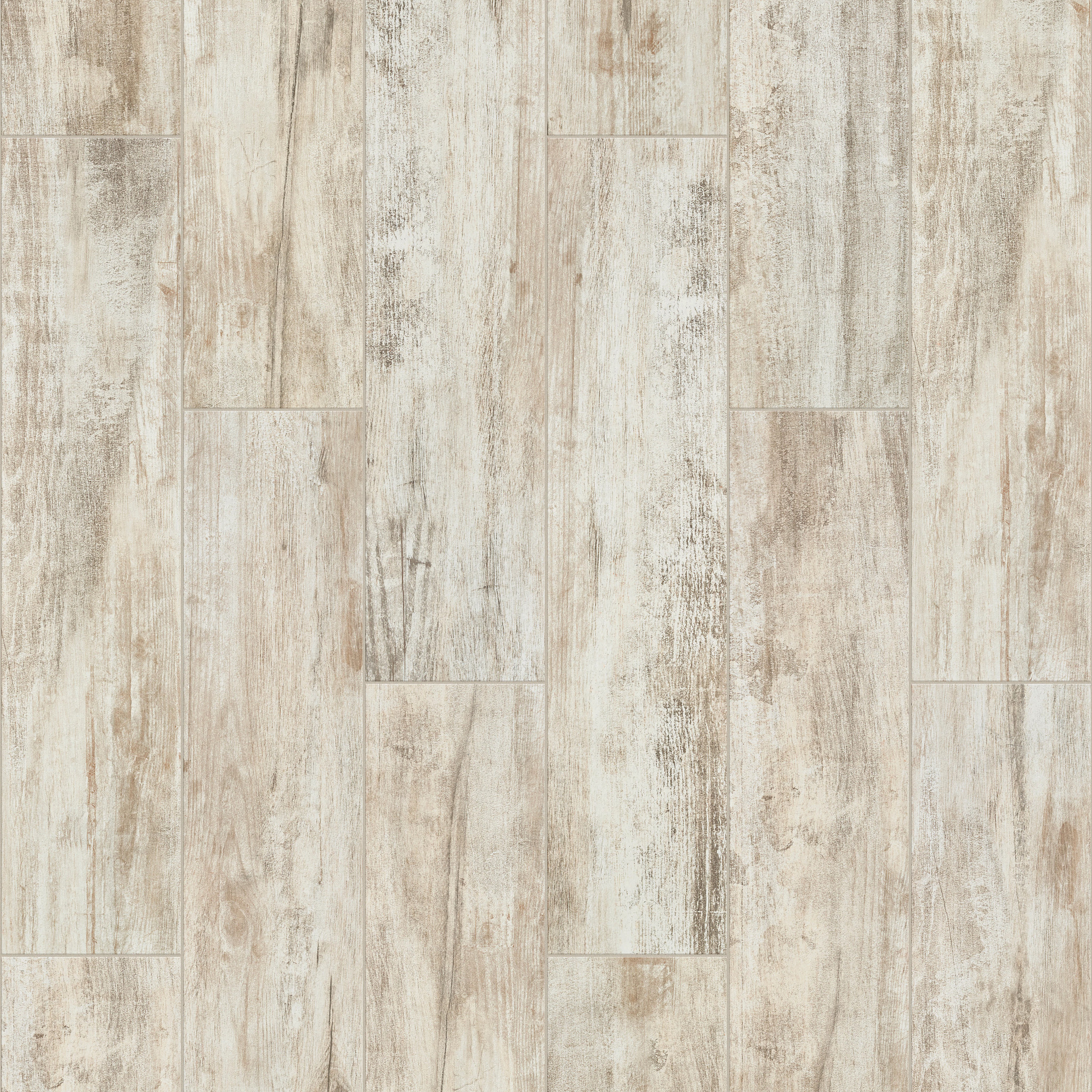OLYMPIA 8X36 WHITE MAIN