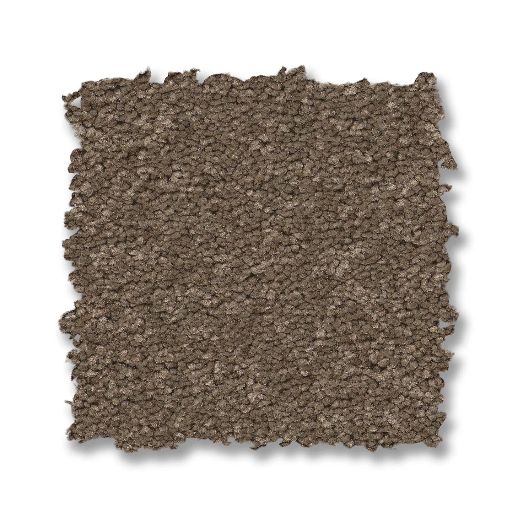 ELEGANT BEAUTY CARAFE SWATCH