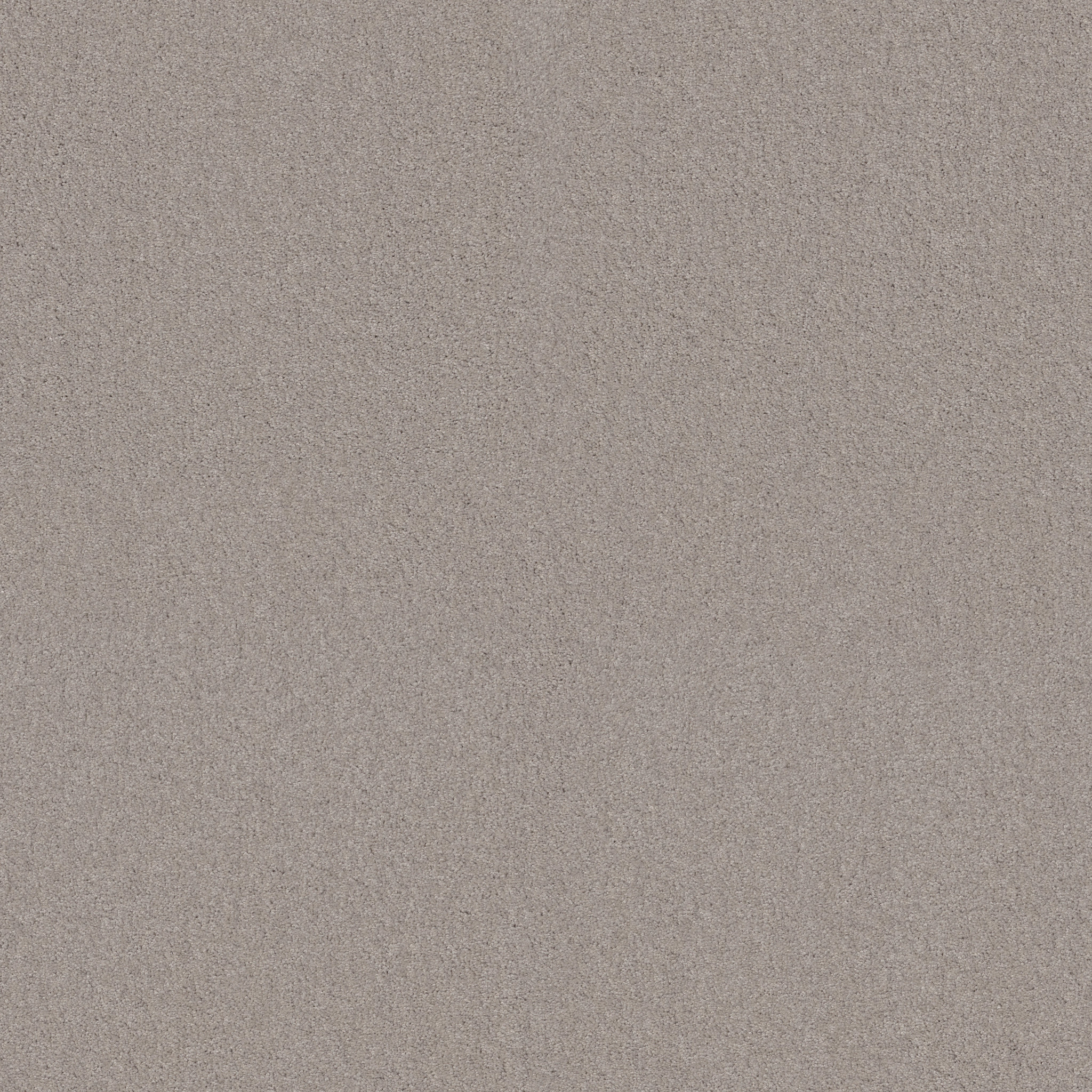 MY CHOICE I GLAZE MAIN