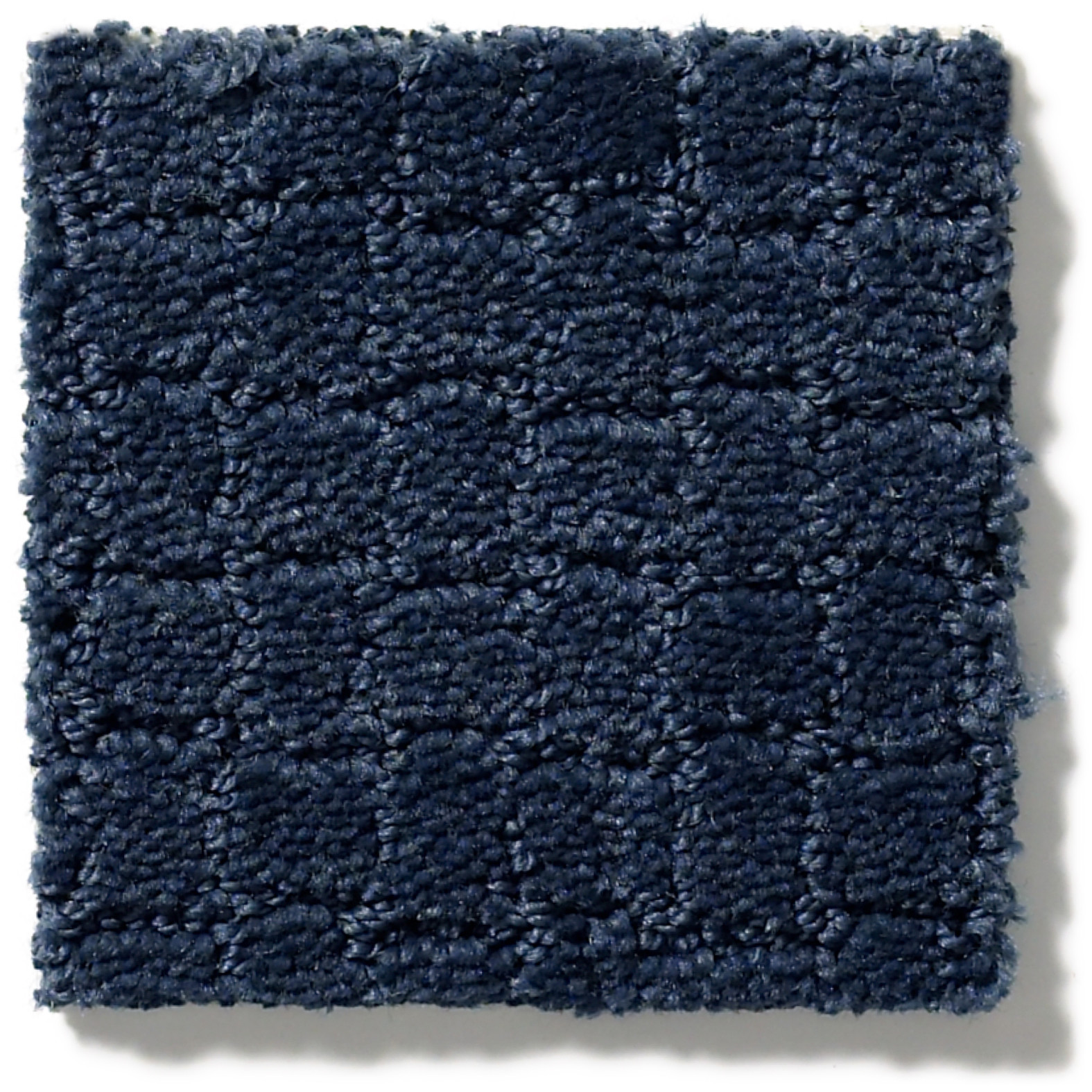 PAWSTRUCK DOWNPOUR SWATCH