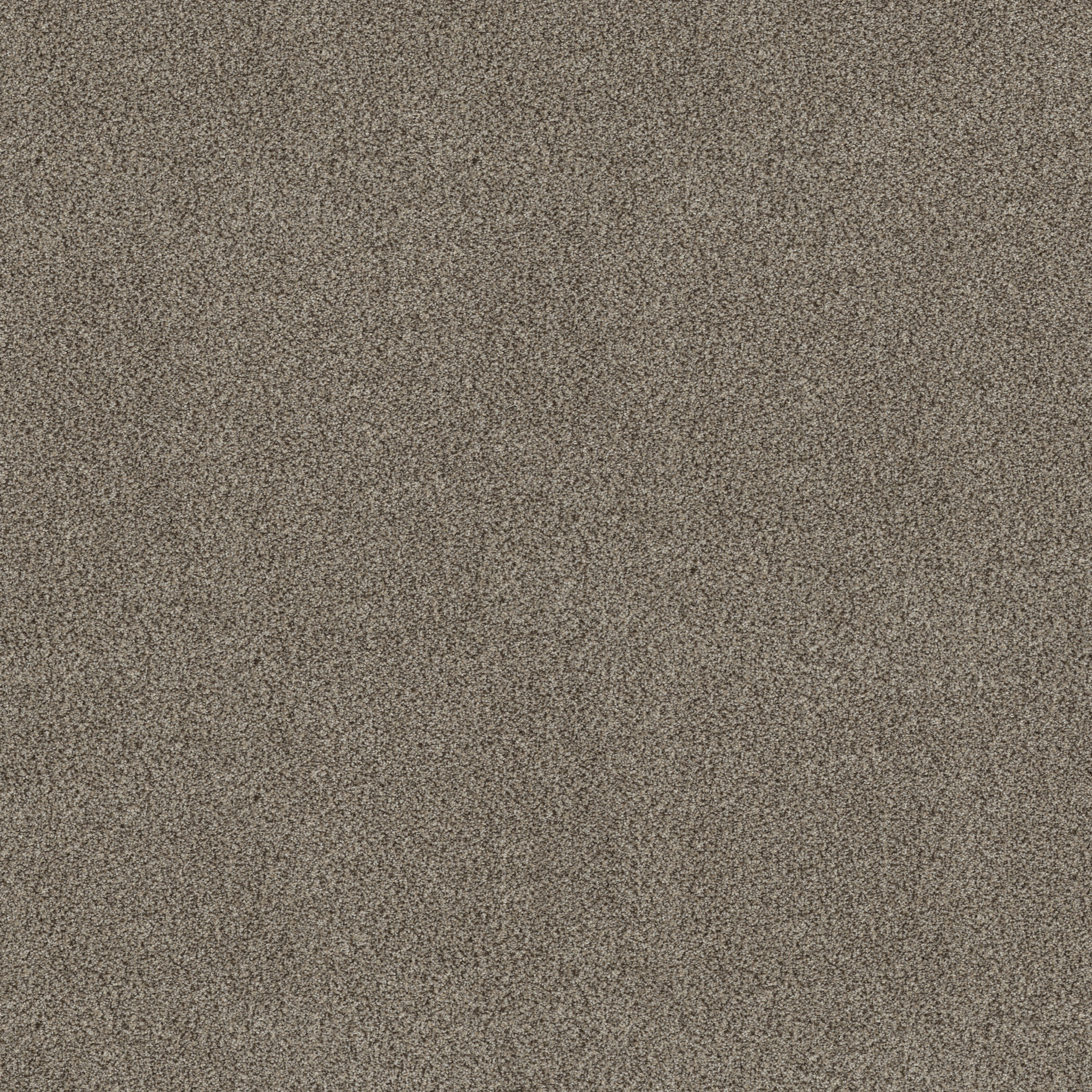 TruSpirit I TRUFFLE MAIN