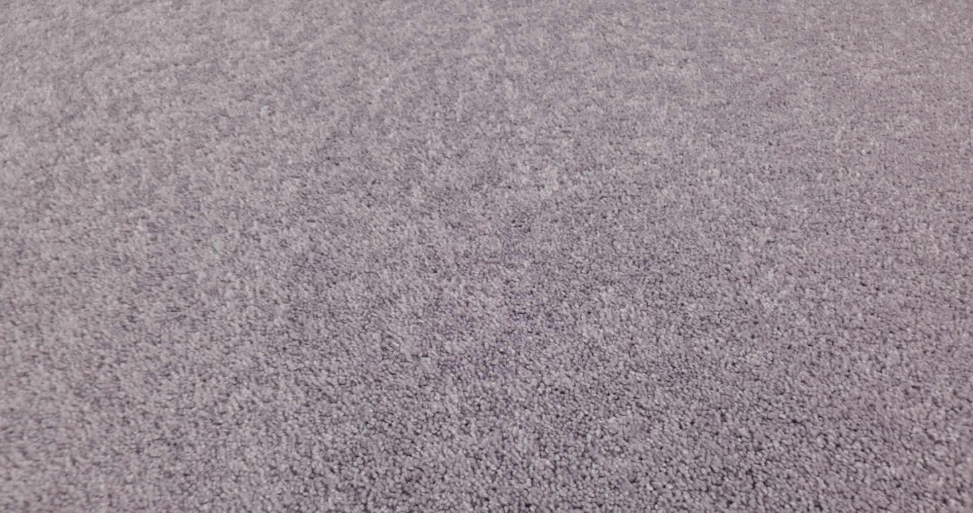 The Bright Side - Pie In The Sky Carpet | Shaw Floors