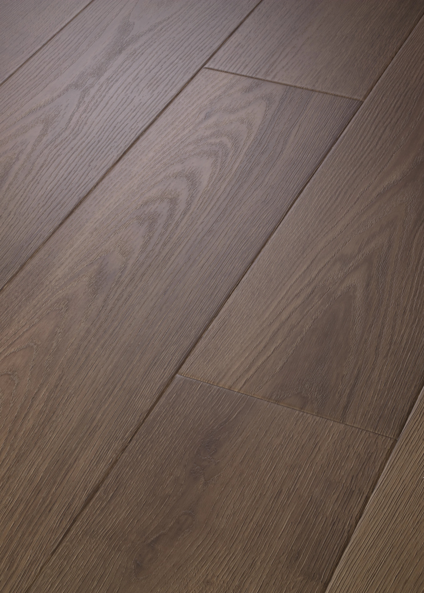 ASCENT NB SIERRA ANGLED