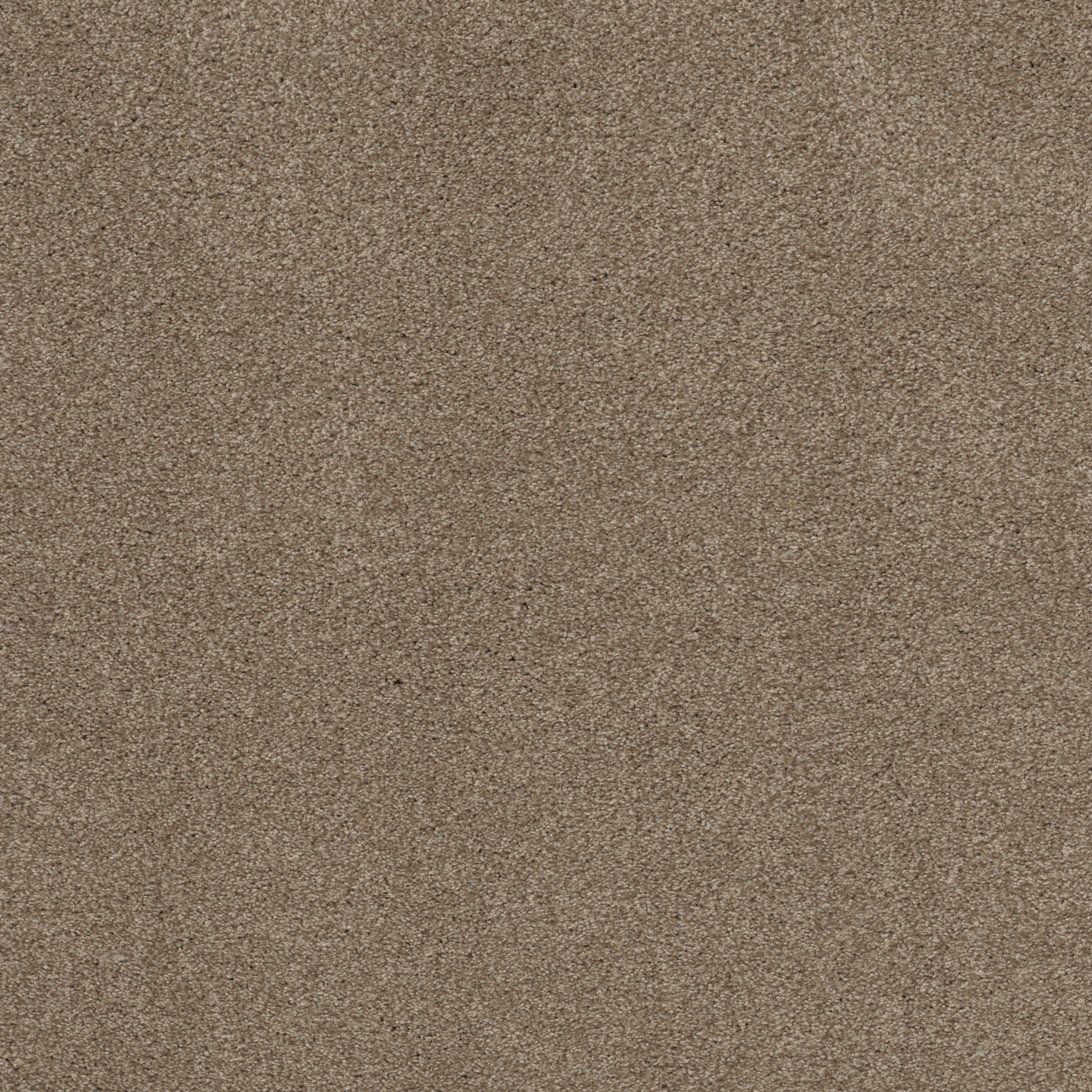 COZY HARBOR II TUMBLEWEED MAIN