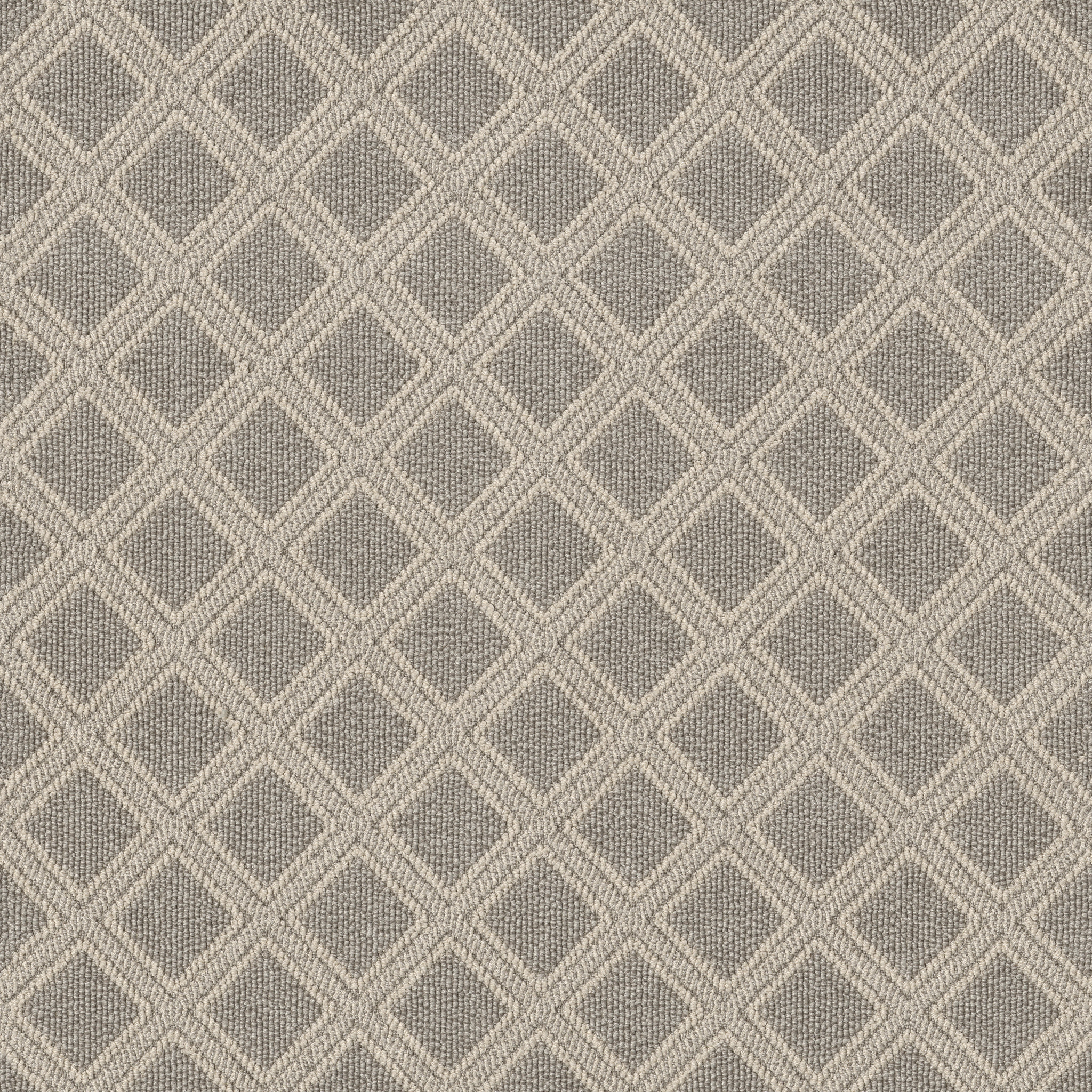 SCOUT OYSTER SHELL MAIN