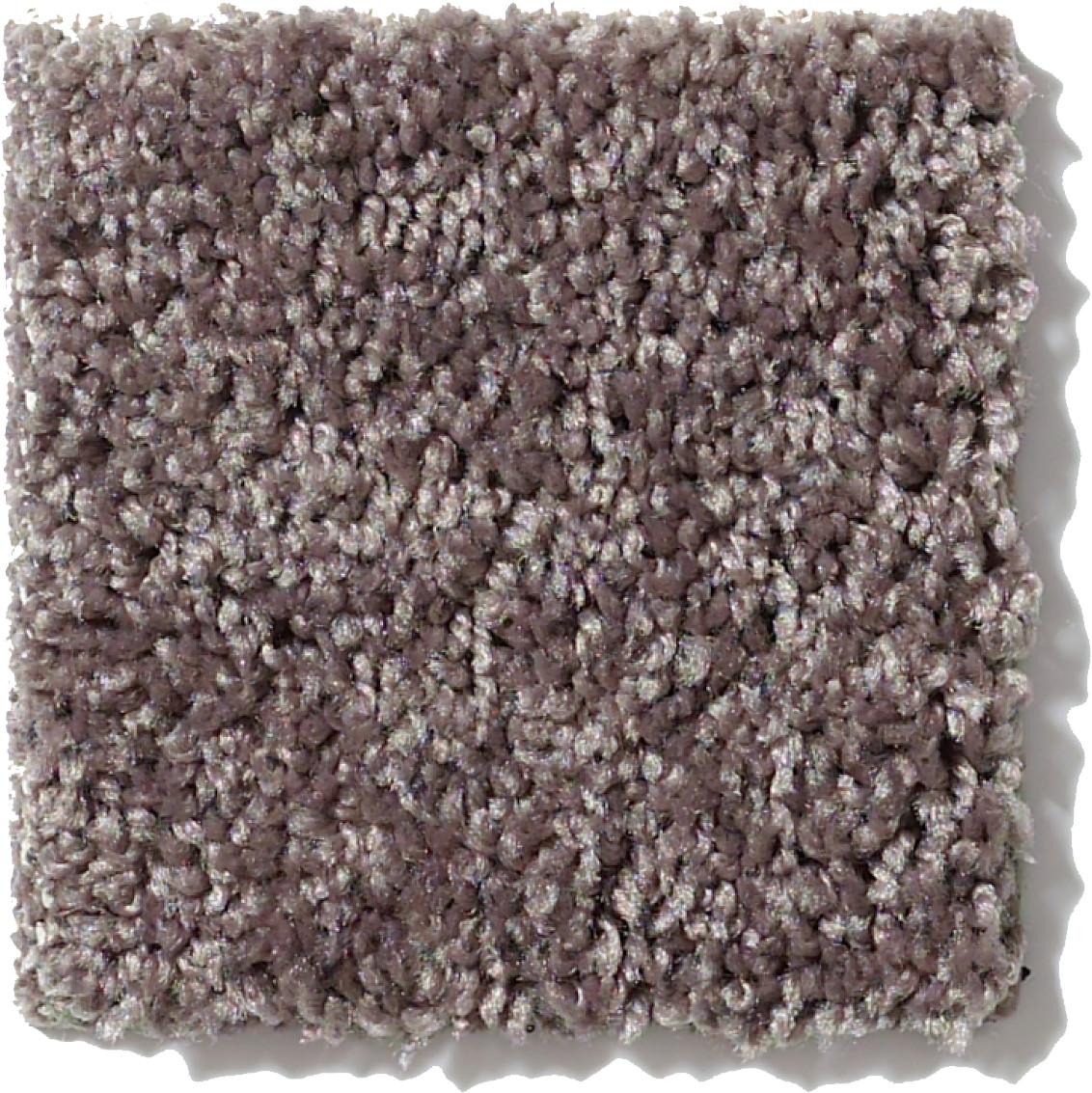 ALL STAR WEEKEND III 15' MOLASSES SWATCH