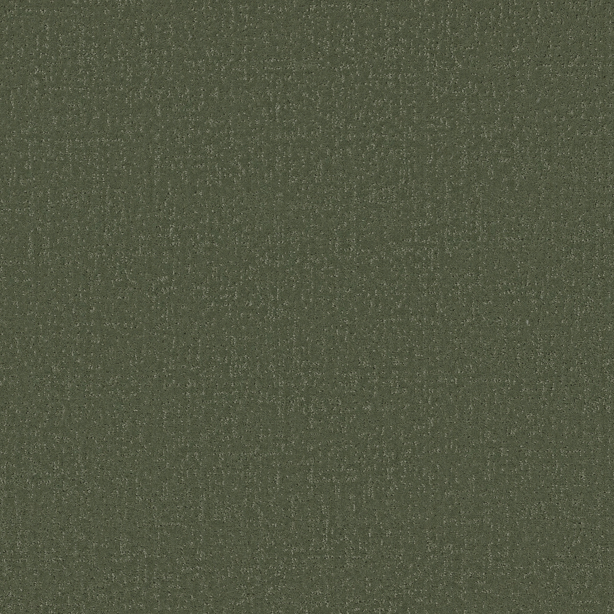 CANVAS COMFORT BLUE OLIVE GROVE MAIN