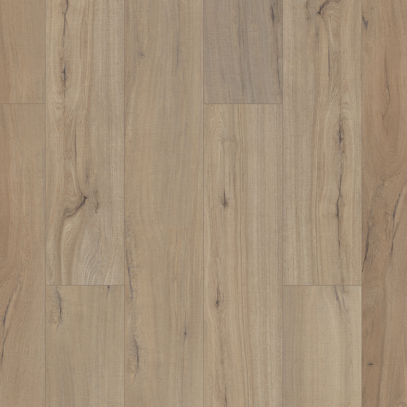 Driftwood swatch