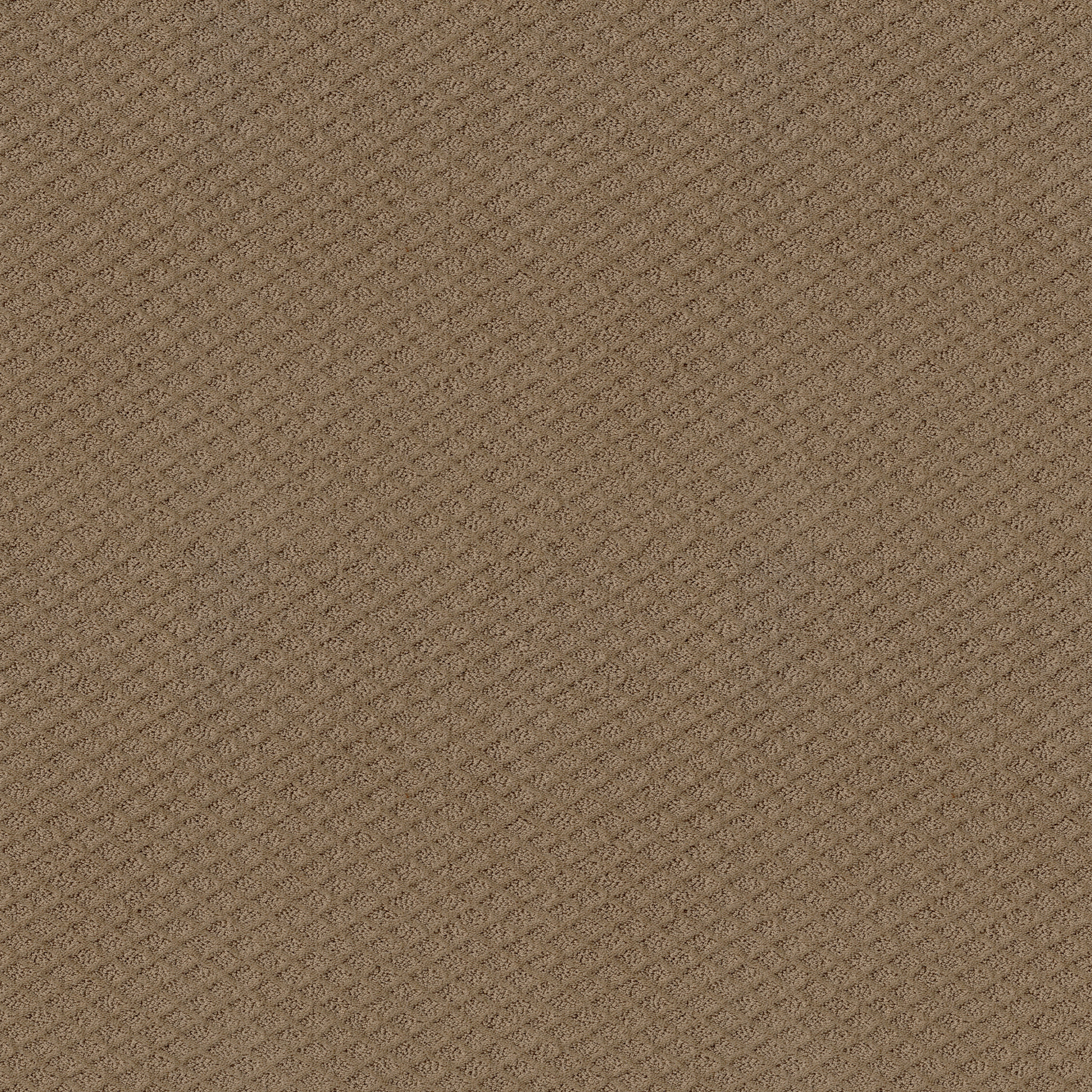 FORMALIZE RAW WOOD MAIN