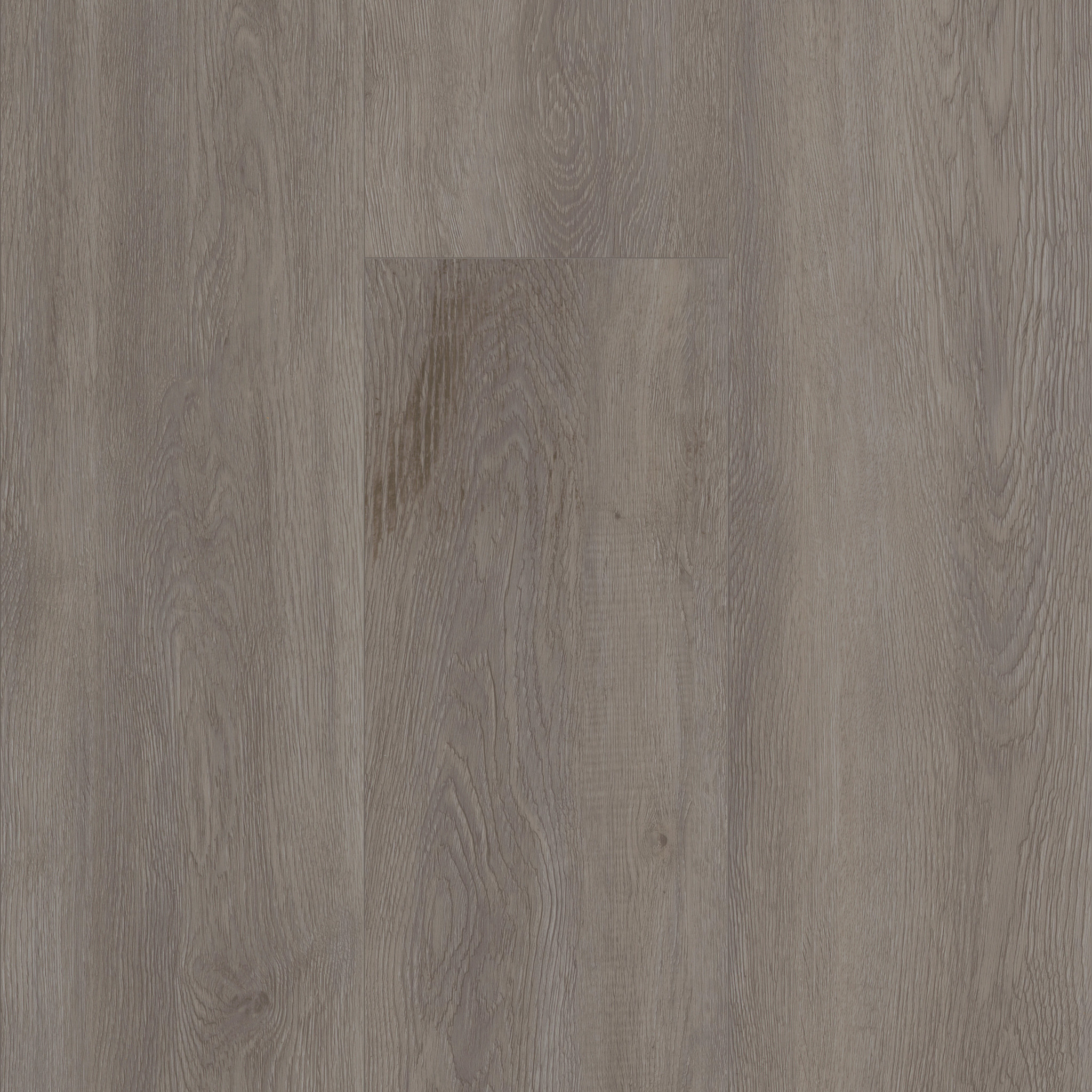 50LVP XL DSI LOGAN OAK MAIN