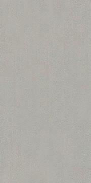 COLOR-ACCENTS-54462-SILVER-62515-main-image