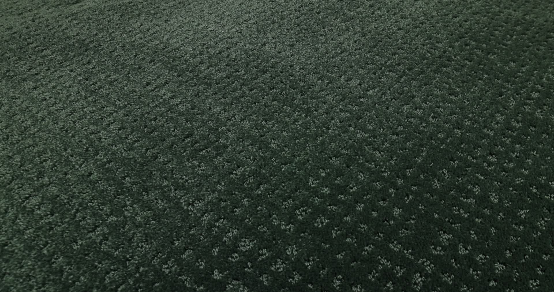 VIVID MEMORIES MAGNOLIA BRANCH 360PROD