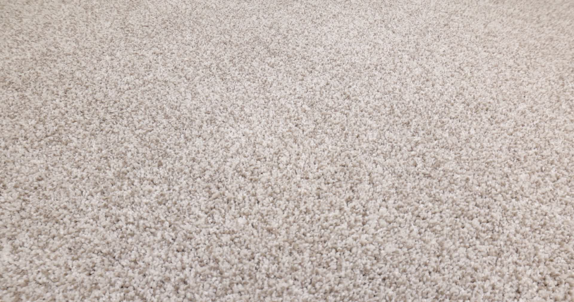 VIA NOVA MISTY DAWN 360PROD