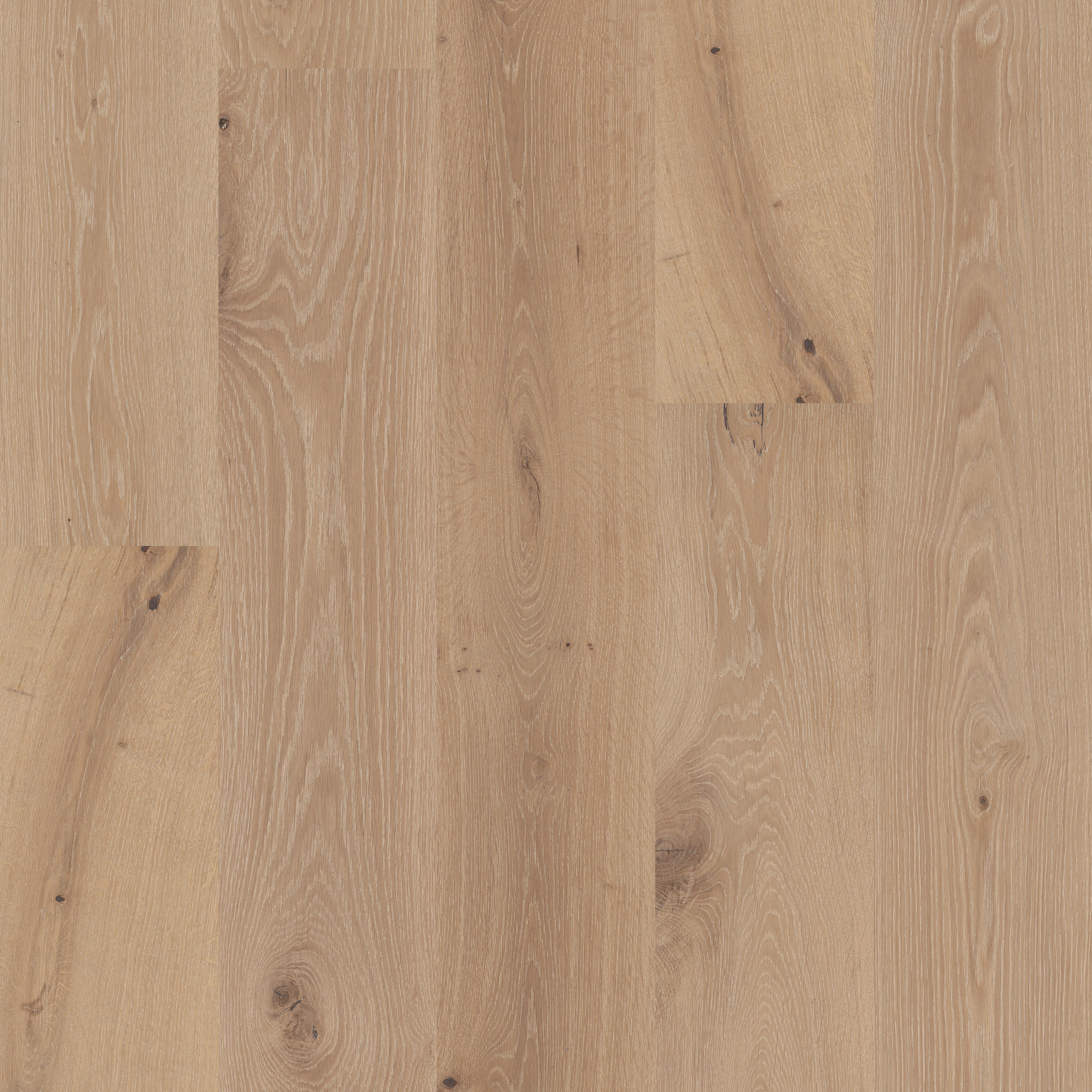 HERITAGE OAK VELLUM MAIN