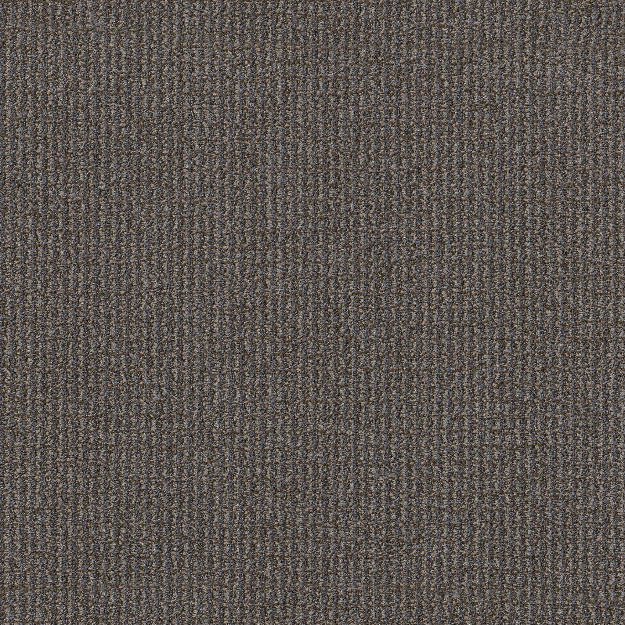 FREE-PRESS-54985-INFORM-00700-main-image