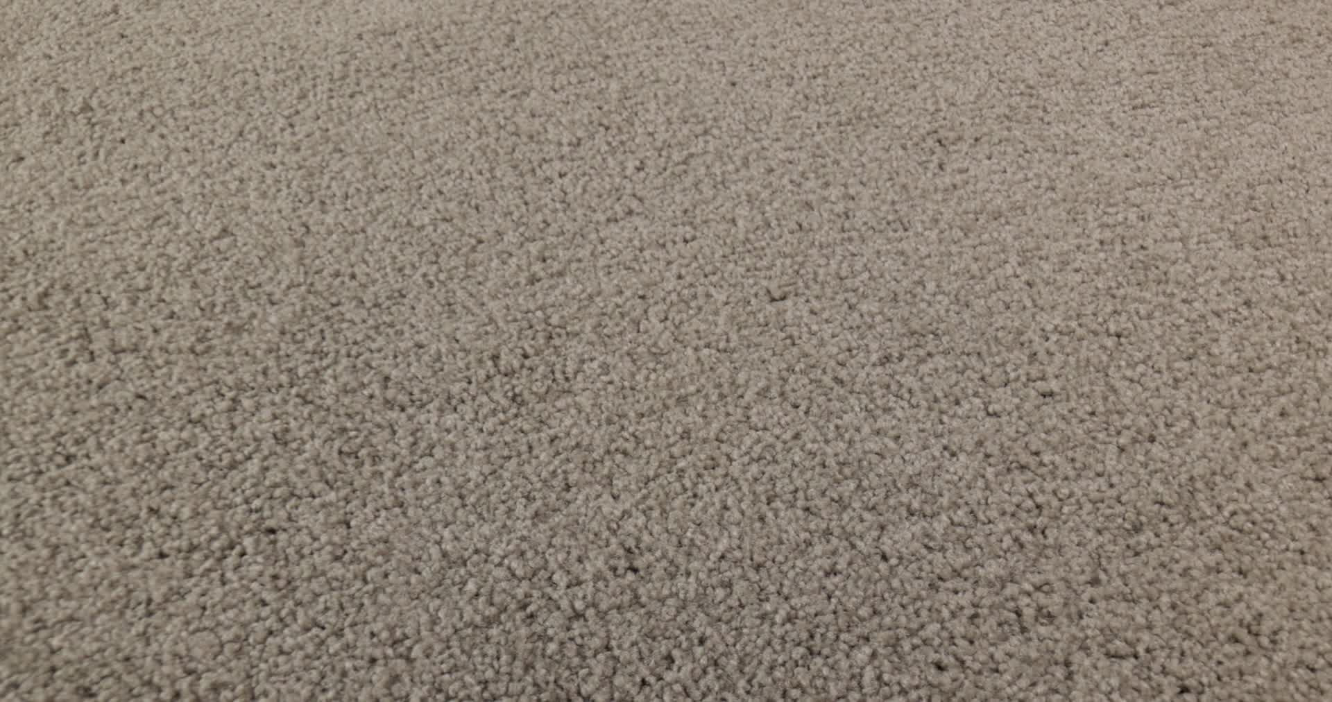 LOOK FORWARD MOCHA CREAM 360PROD