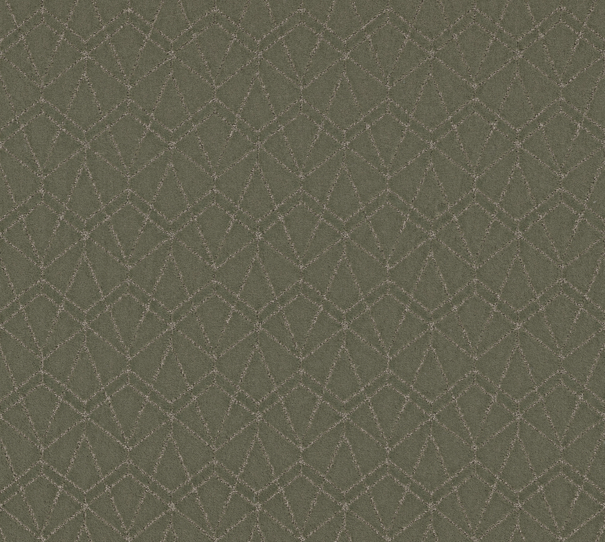 POINT OF VIEW REROOTED NATURE MAIN