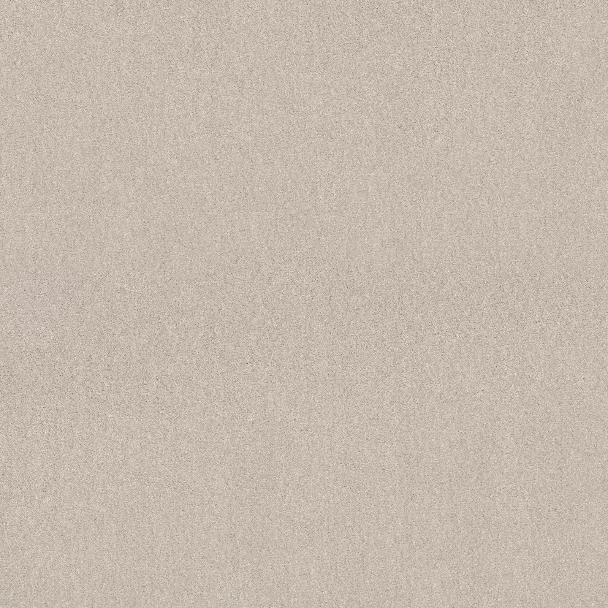 Solidify III 15' in Minimalist