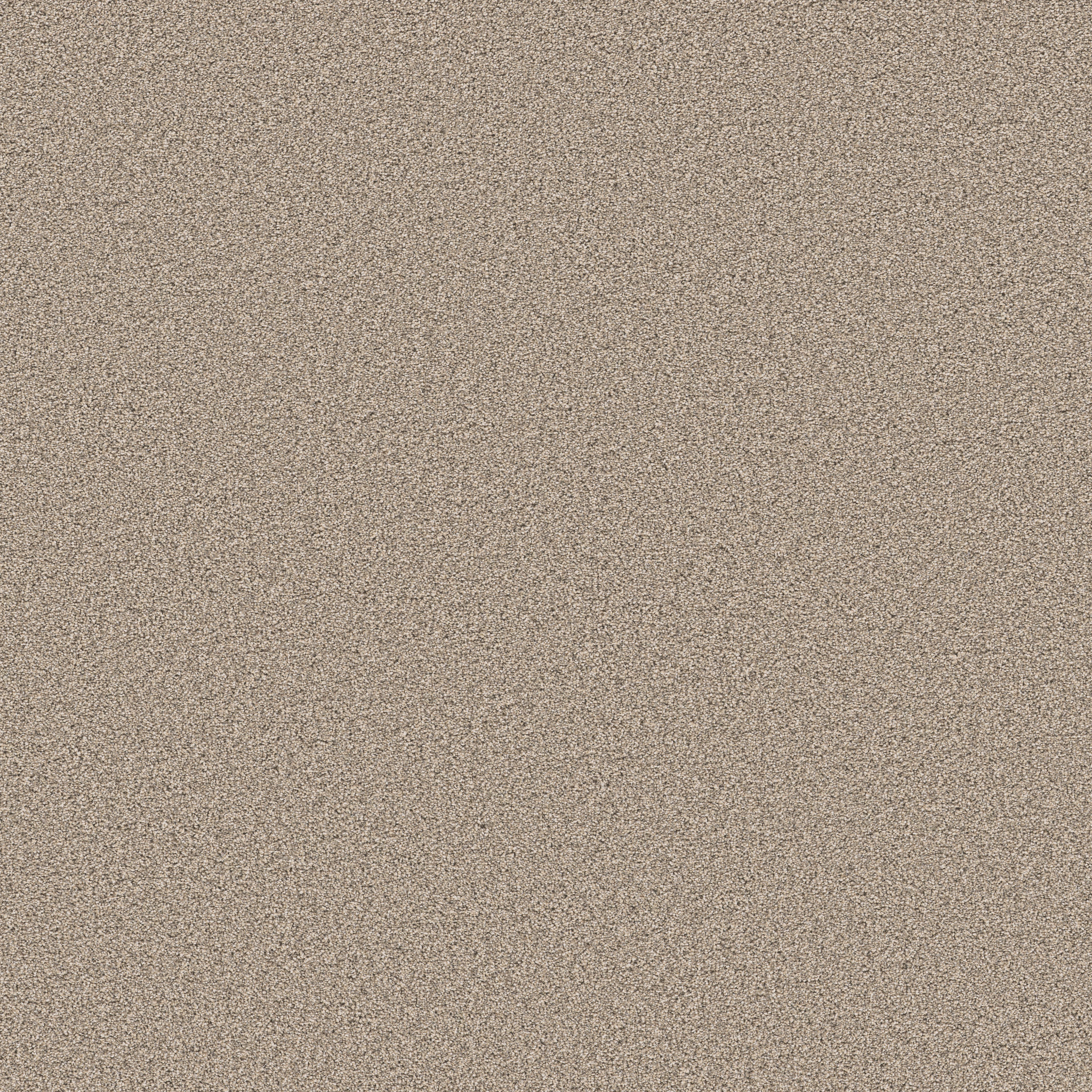 GRAND INFLUENCE II SAND HILL MAIN