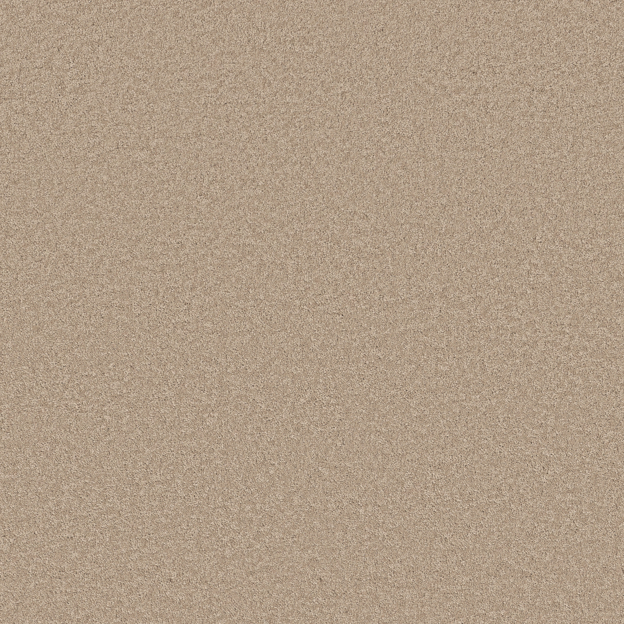 VELVET TOUCH I STRAW HAT MAIN