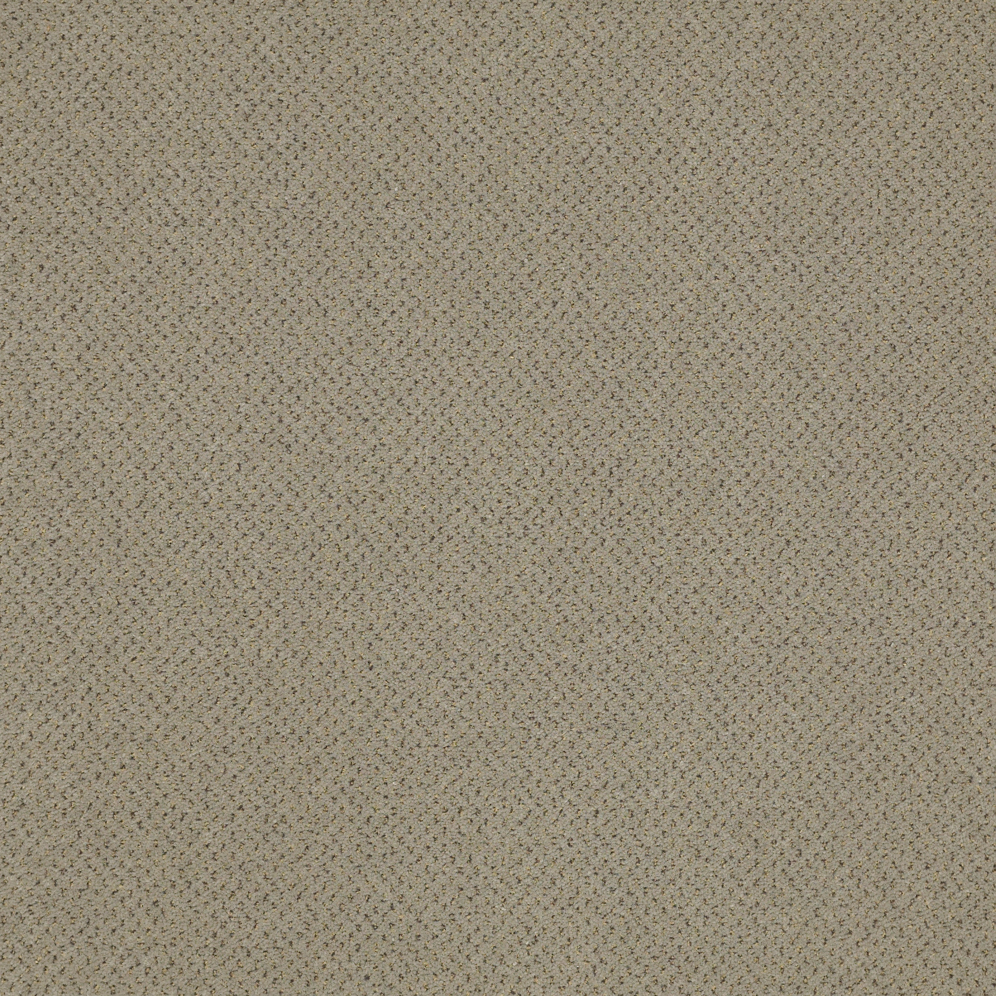 FUTURE-GENERATIONS-54644-MEDIA-44503-main-image