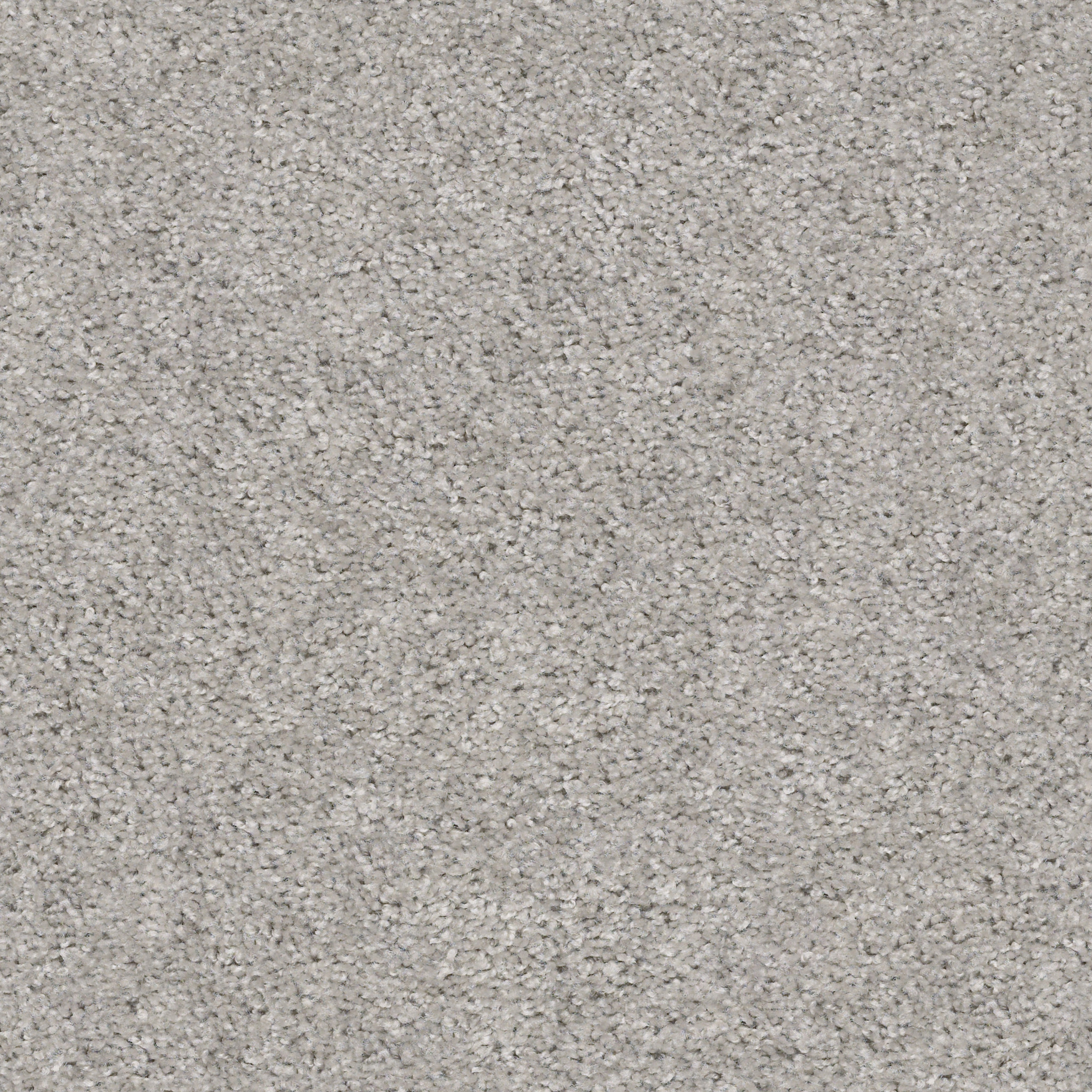 VALIANT SILVER SONG MAIN