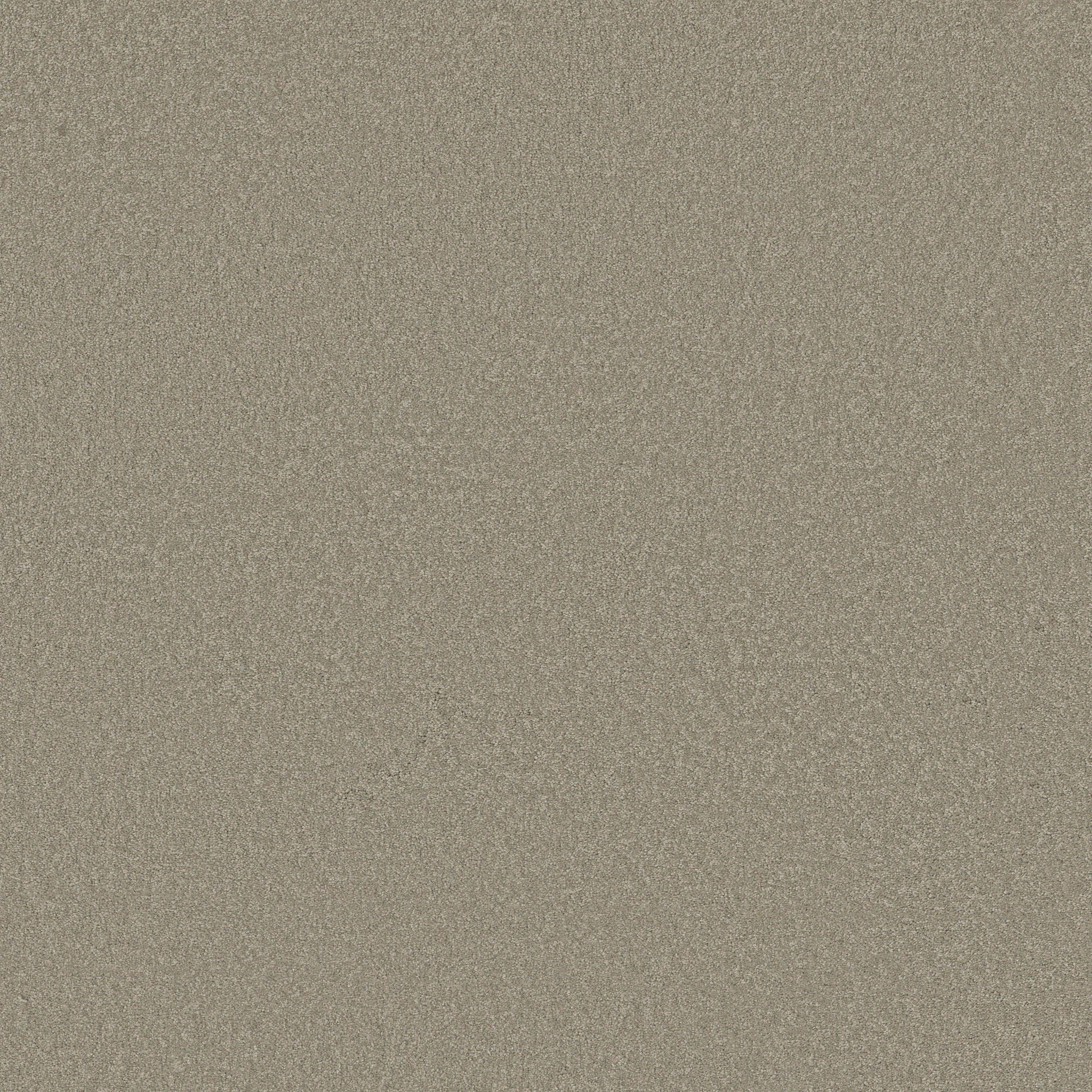 SANDY HOLLOW I 12' LONDON FOG MAIN