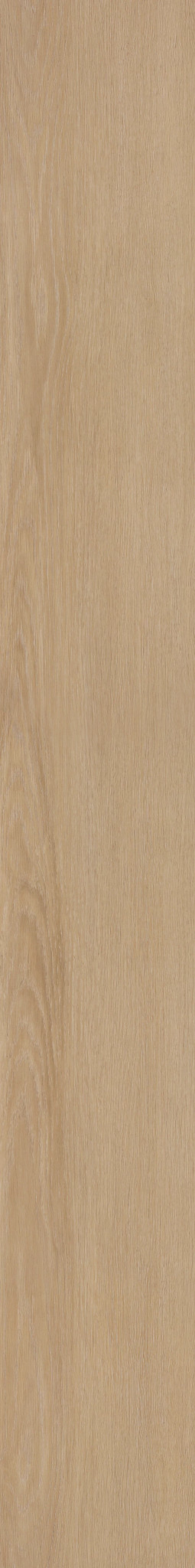 GOLDEN VEIL OAK 1TO1