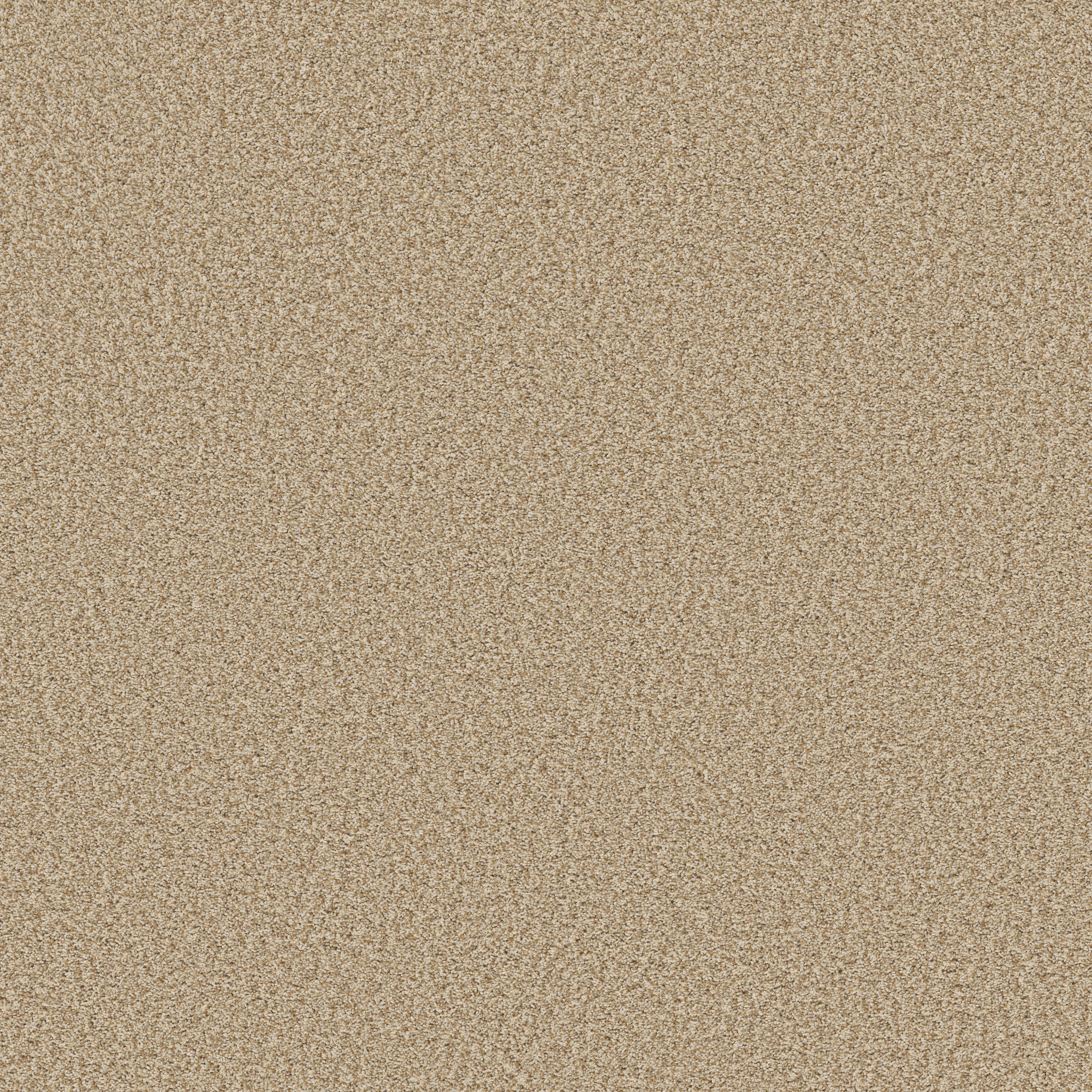 PRESCOTT VALLEY BEACH GRASS MAIN