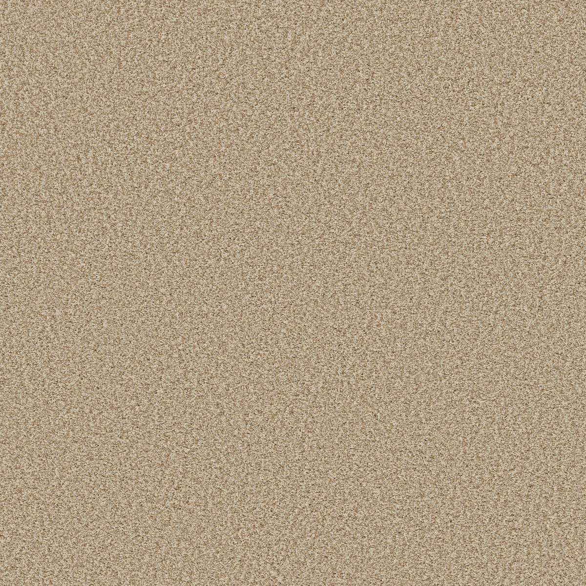 Shaw Floors PRESCOTT VALLEY — BEACH GRASS