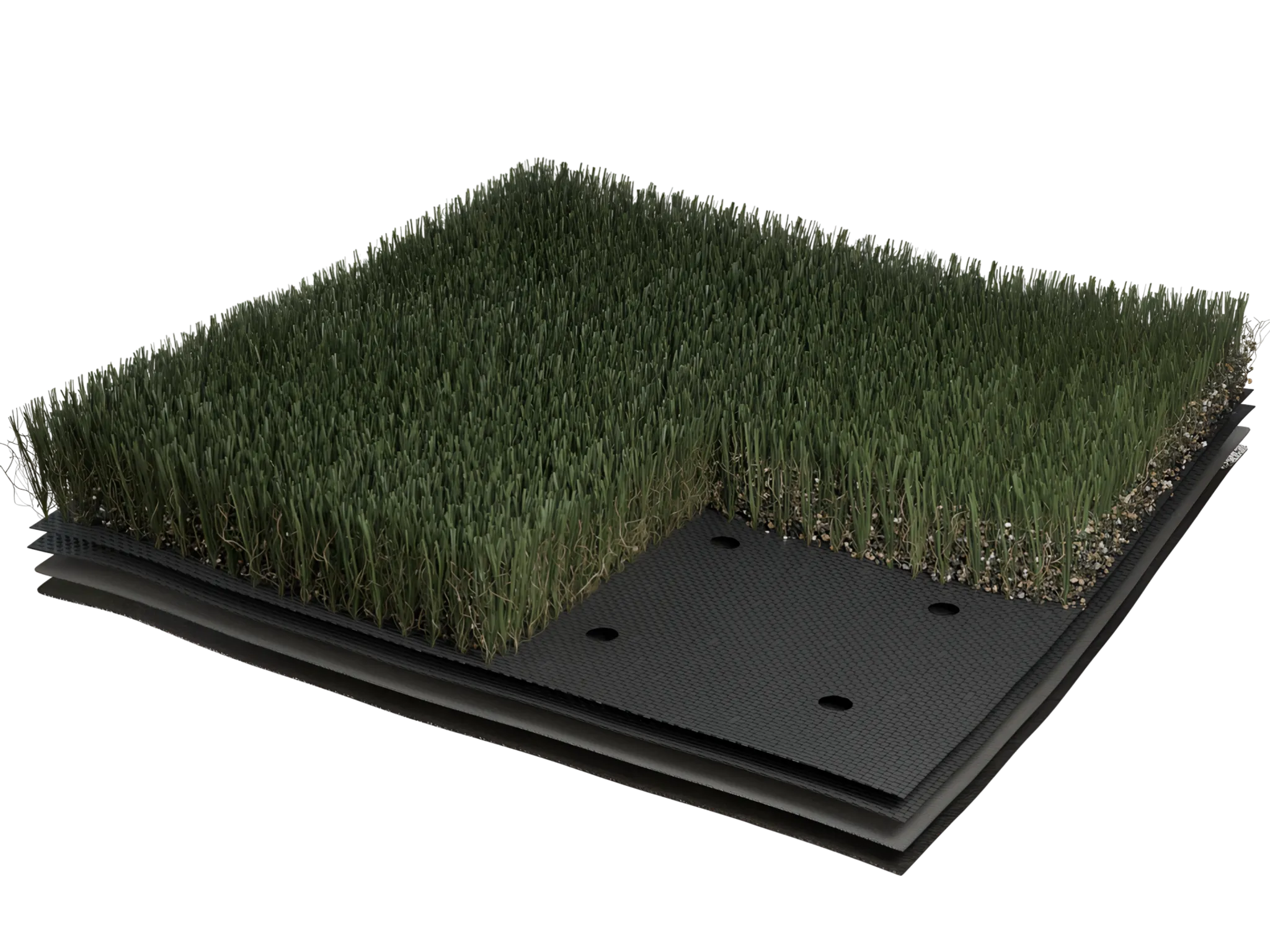 Meraki Artificial Turf | Premium Synthetic Grass by Shaw Grass Meraki Artificial Turf | Premium Synthetic Grass by Shaw Grass