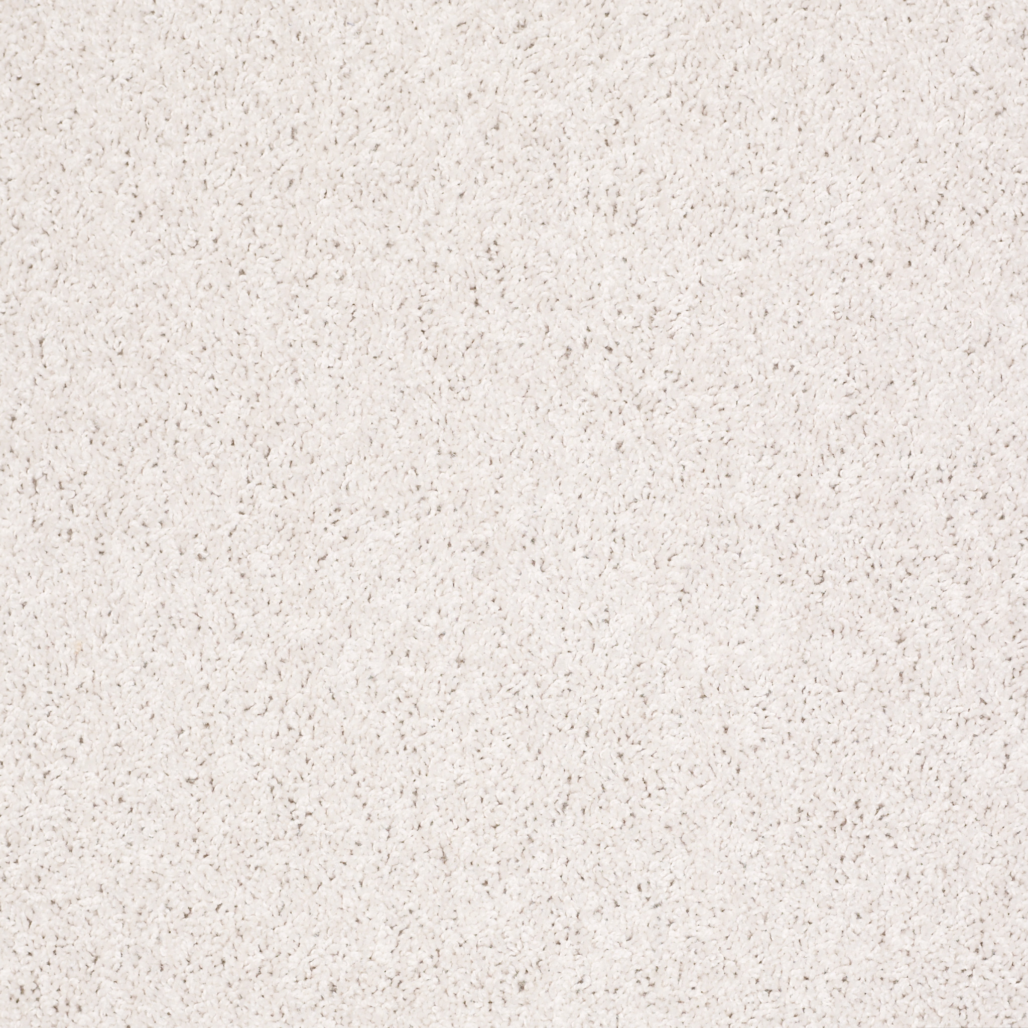 ROYAL PORTRUSH I 12' HALO MAIN