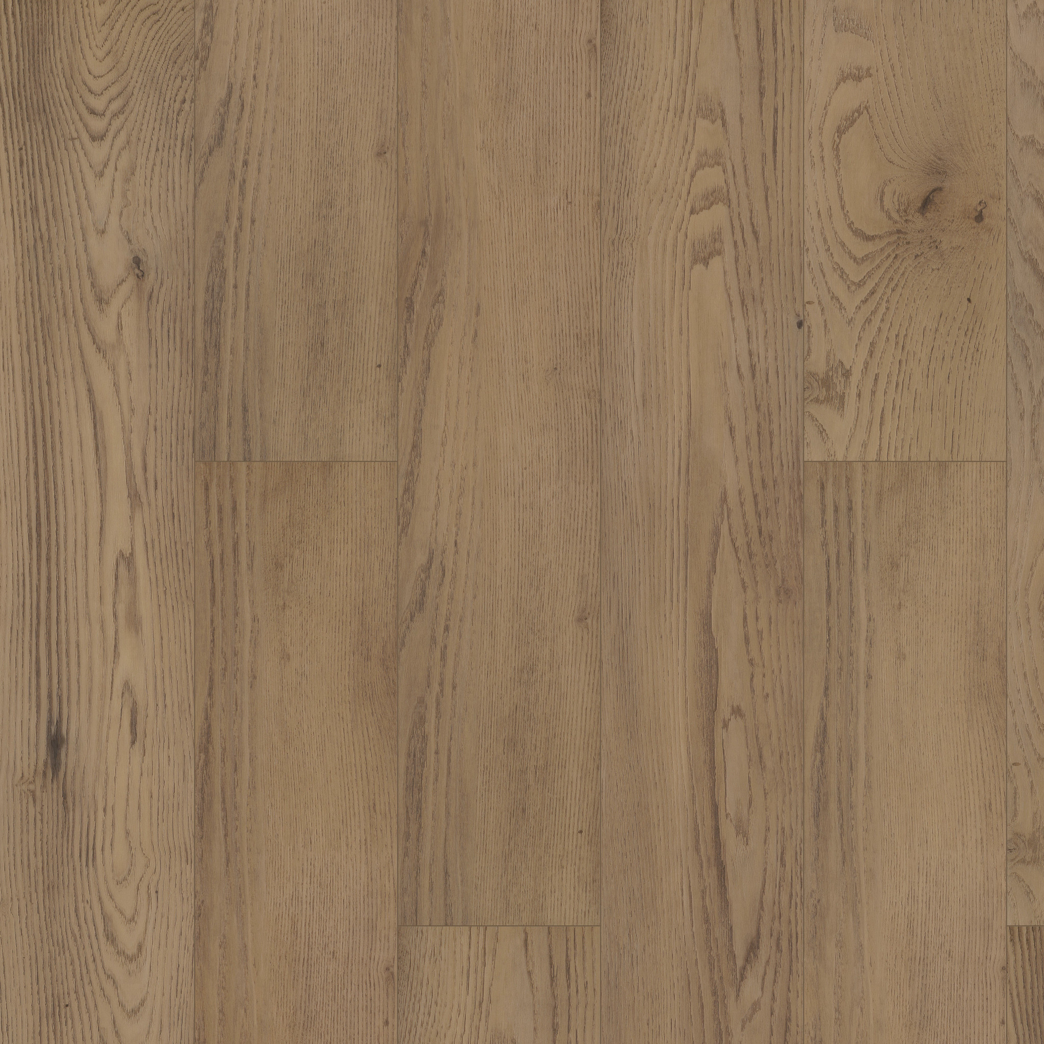 Adonislionページ Paragon Hd+Natural Bevel - in Magnolia | Shaw Floors
