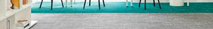 Education Facility with Gray Commercial Carpet Tile and Teal Accents Establish in Vivid + Interaction