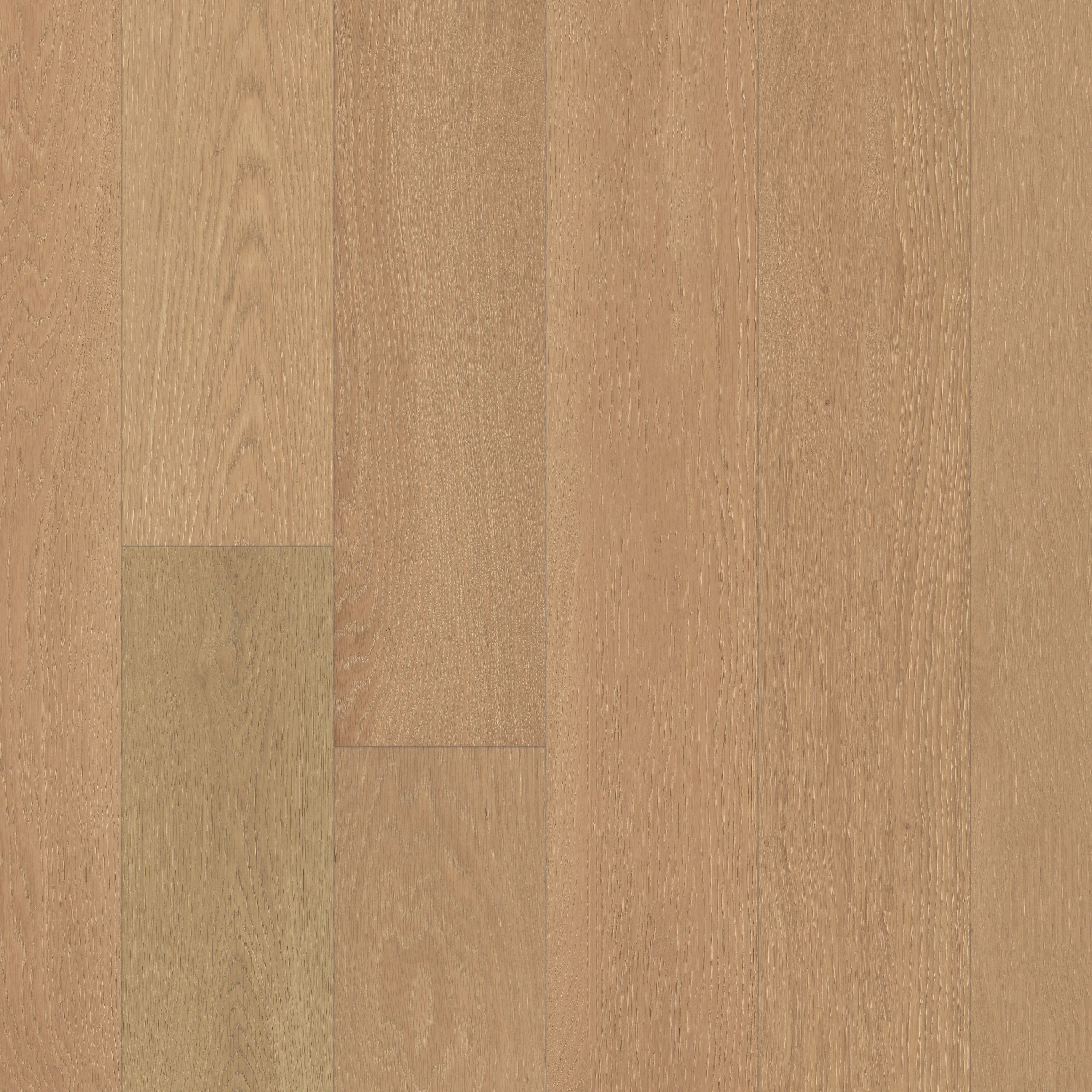 CARPENTRY OAK TERRAIN MAIN